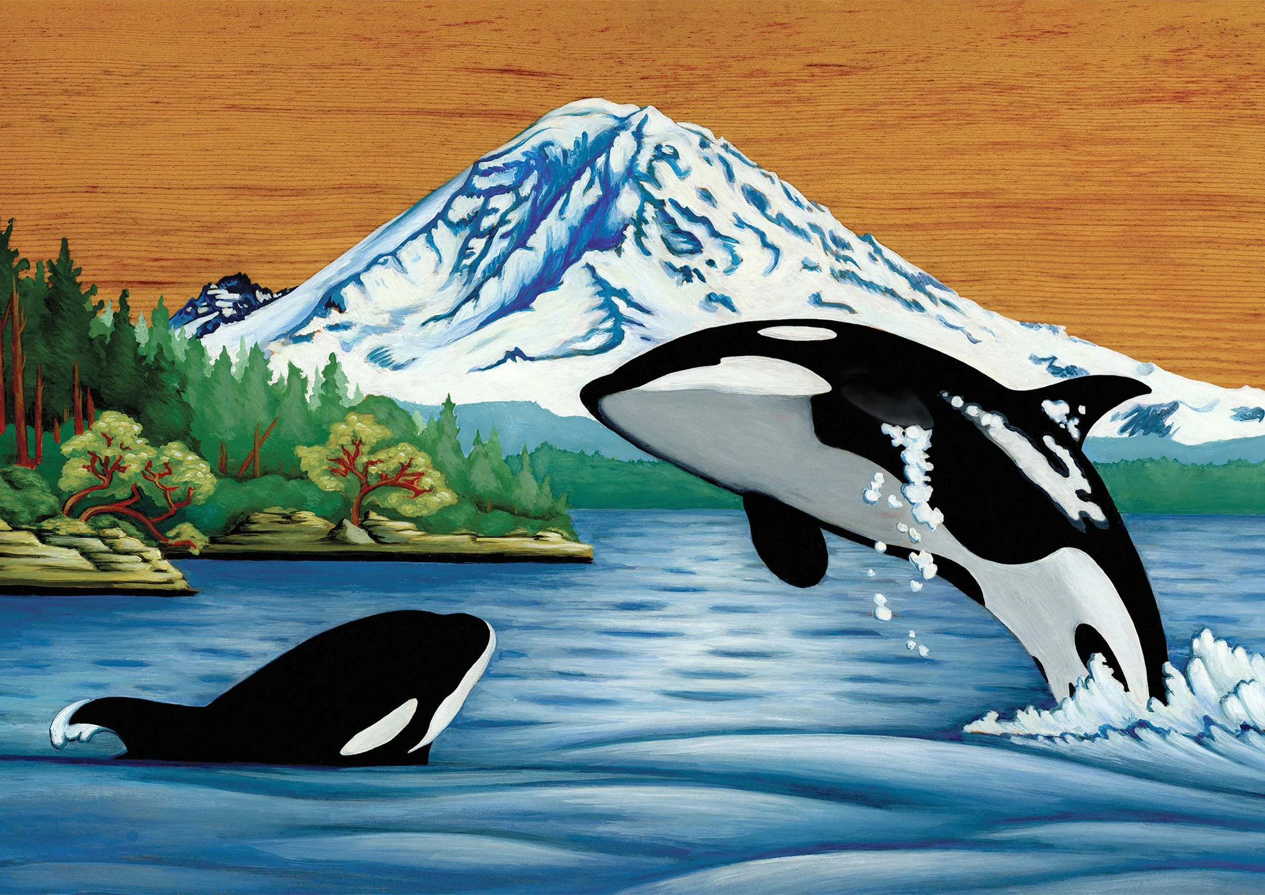 Orcas in the Sound_LLO.jpg