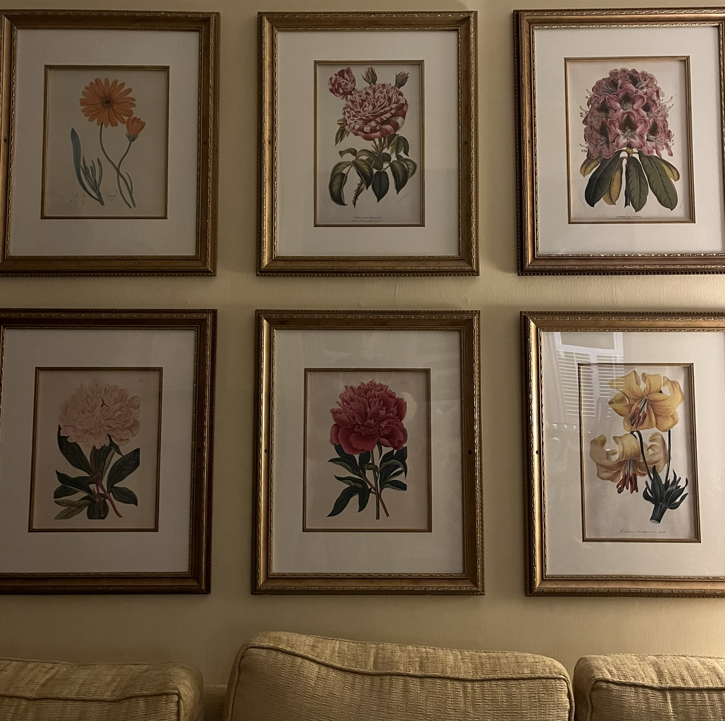 My Grandma: A Lifelong Learner, Lover, &amp; Teacher