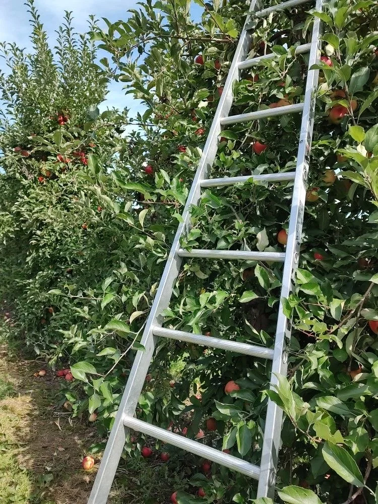 Trading in my Shovel for a Ladder