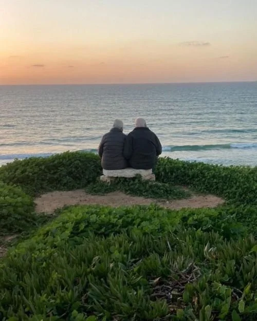 Lifelong Partner, or Lessons.