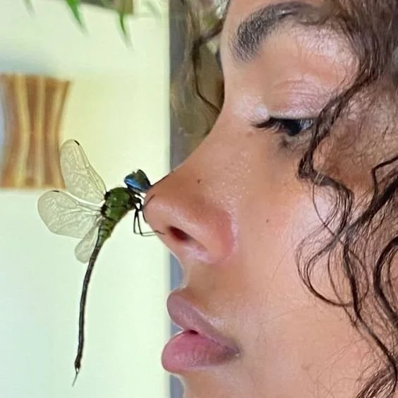 A Little Bit of Magic