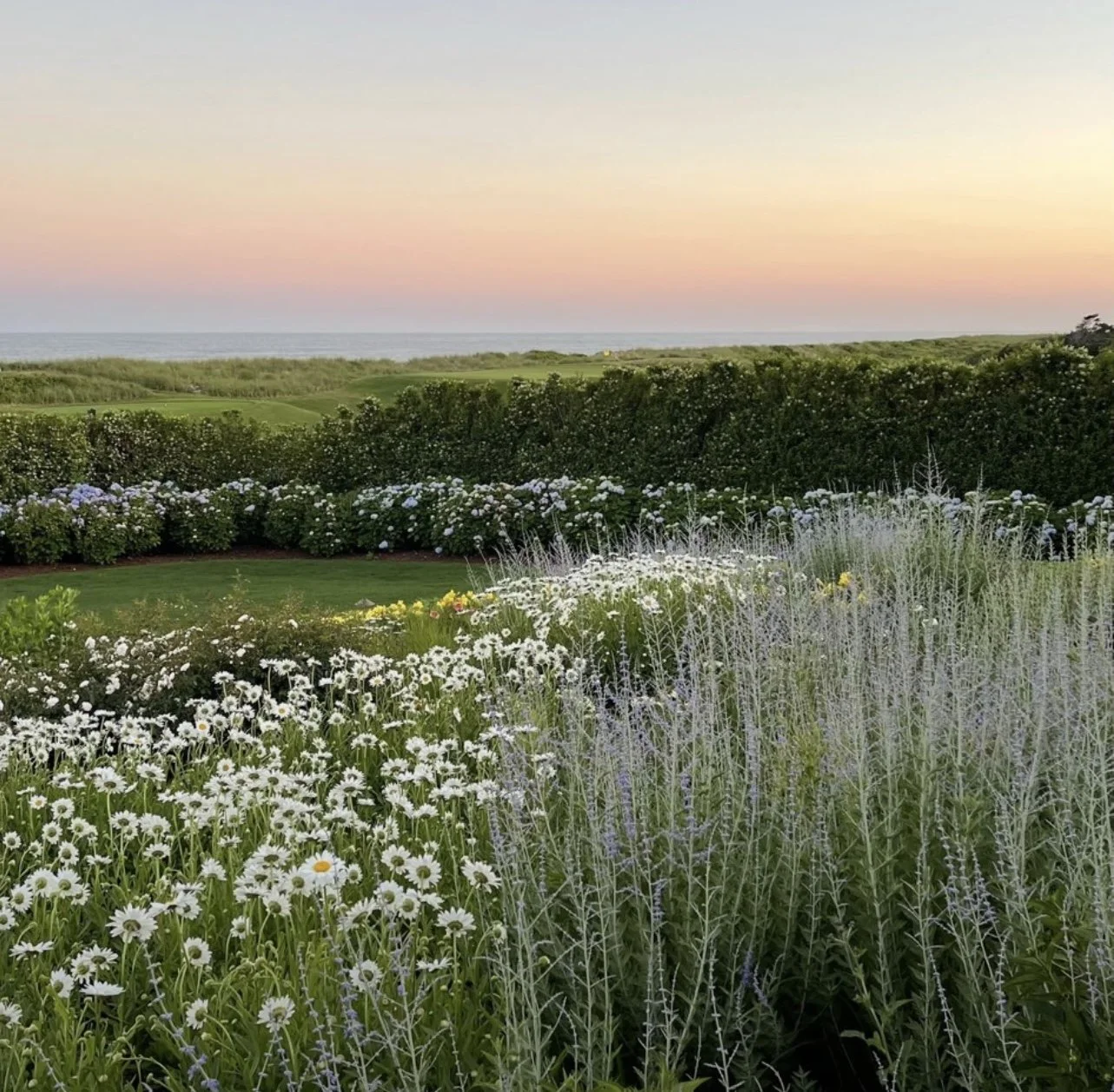 A Love Letter to Dreamers