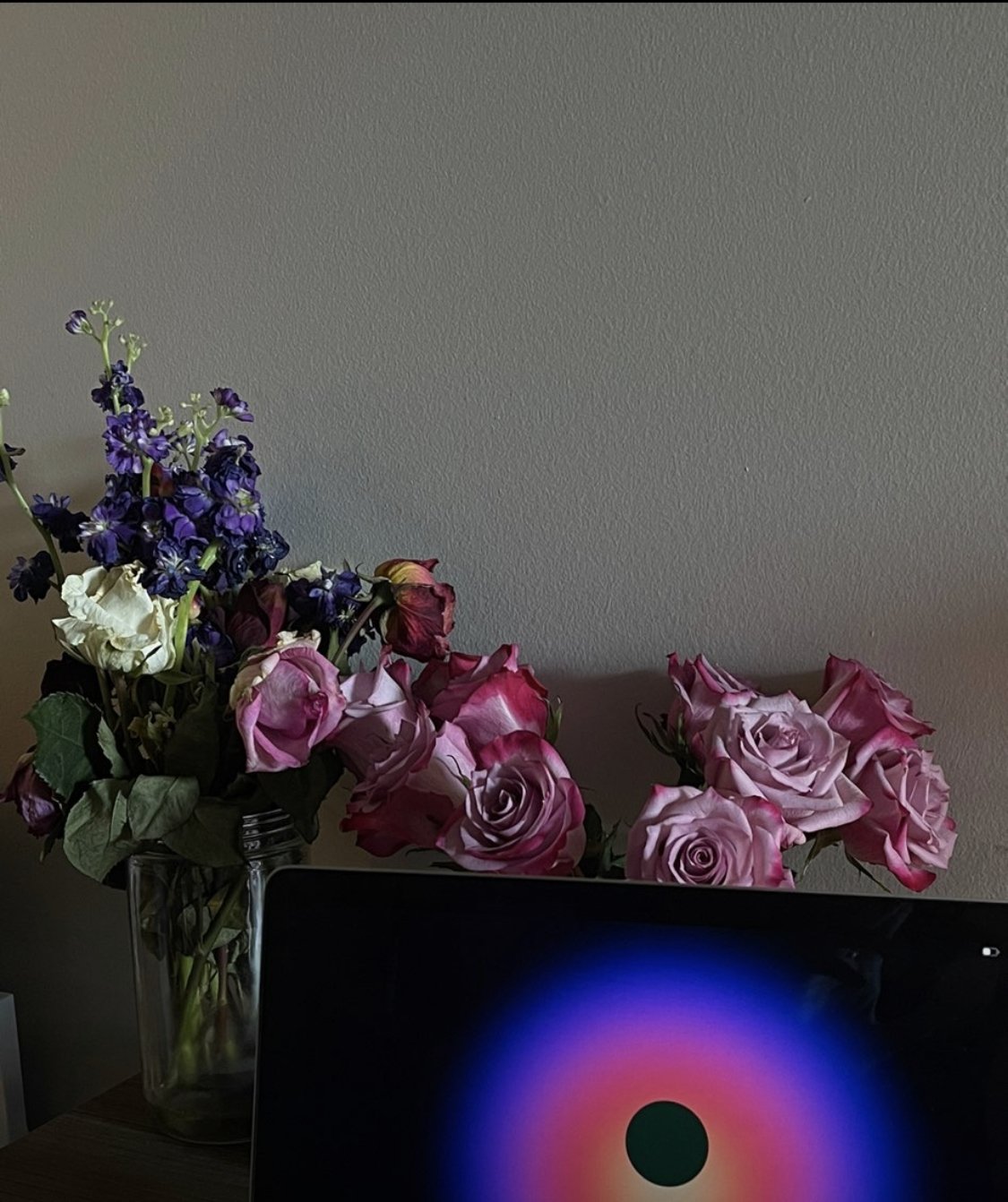 Disconnected For a Day