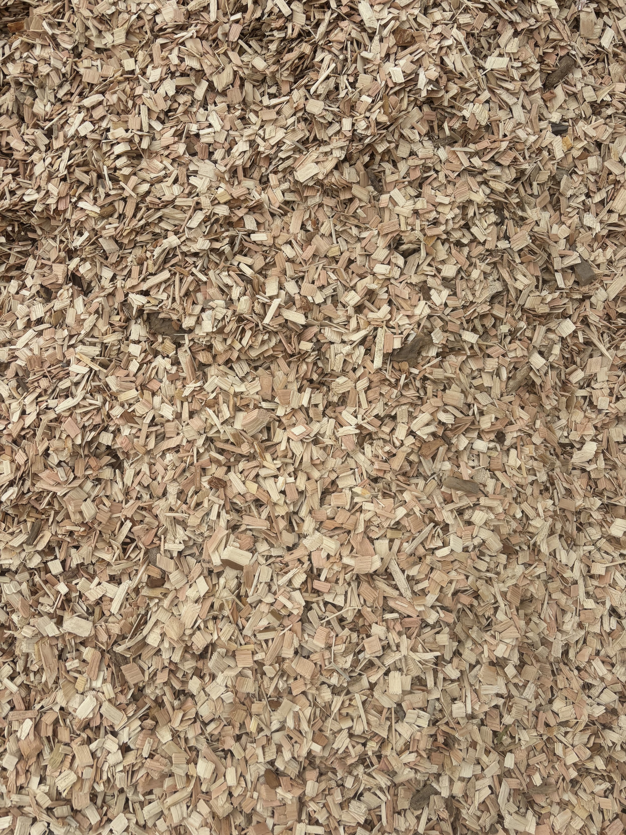 playground chips