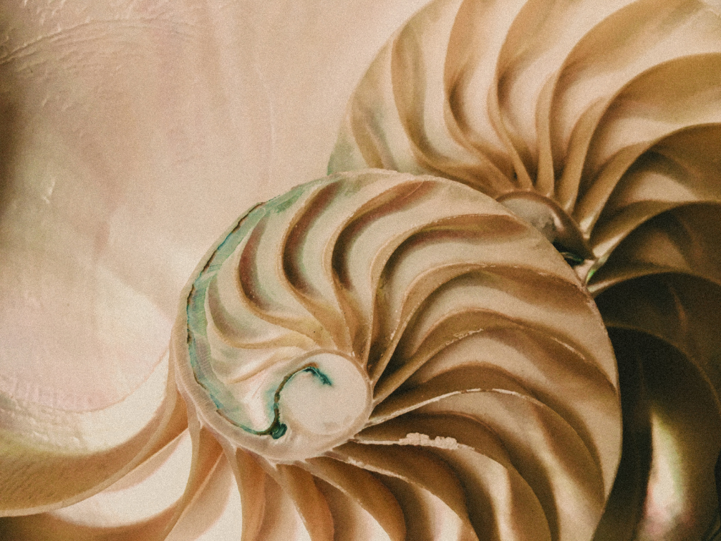 Coming Back Into Coherence: Trauma Integration and Healing After Fragmentation