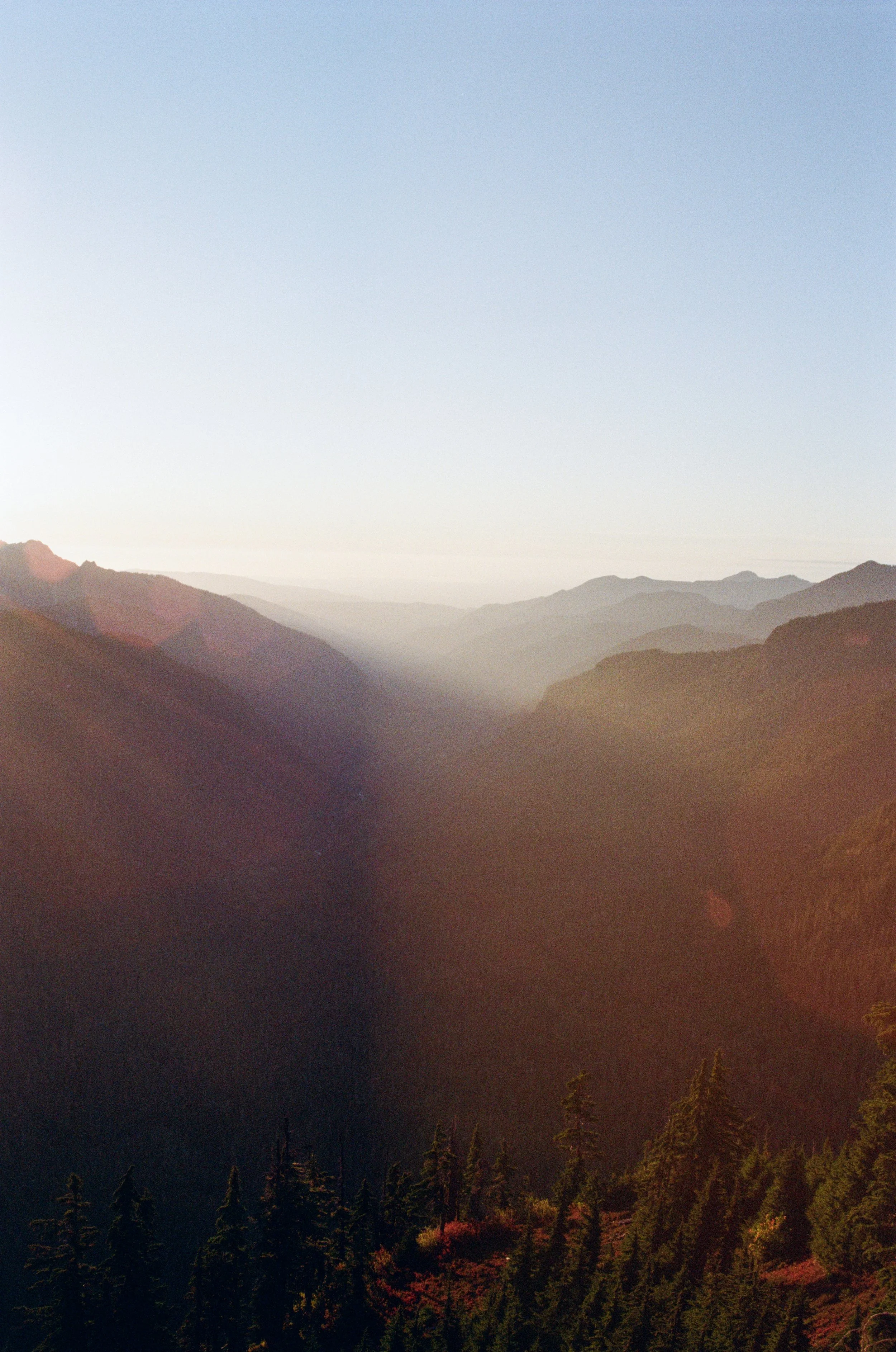 3 Steps to Regulate Overwhelm (Before It Regulates You)