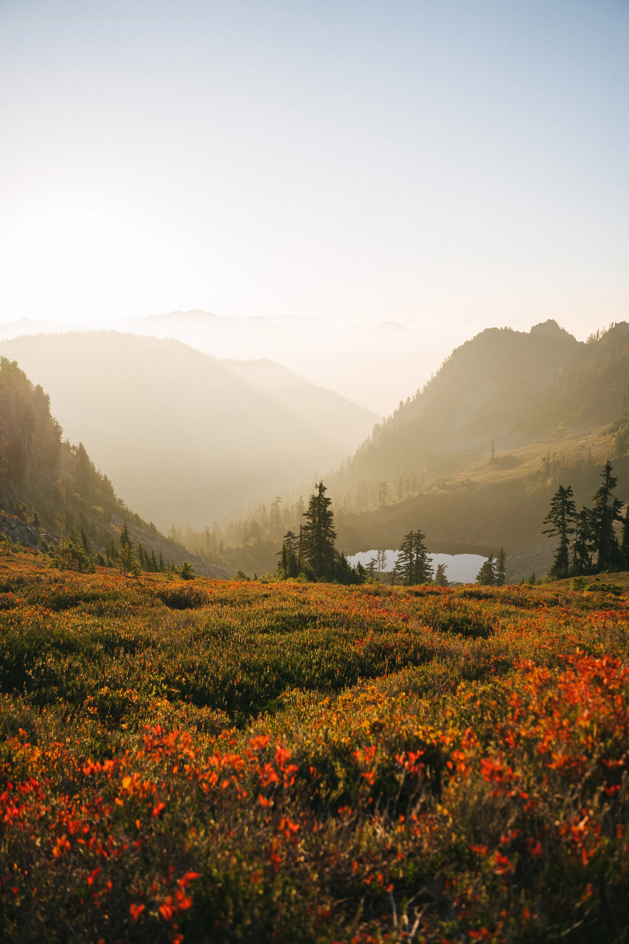 The Guide to Safe, Intentional Psychedelic Wellness for Women in Colorado