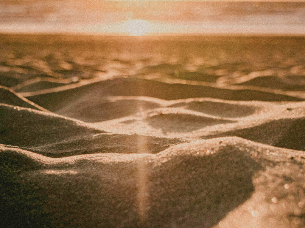 Close-up of sand dunes on a beach with the sun setting in the background, creating a warm glow, representing a psychedelic wellness retreat location.