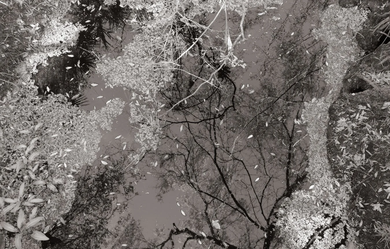 Interior Surface 2018