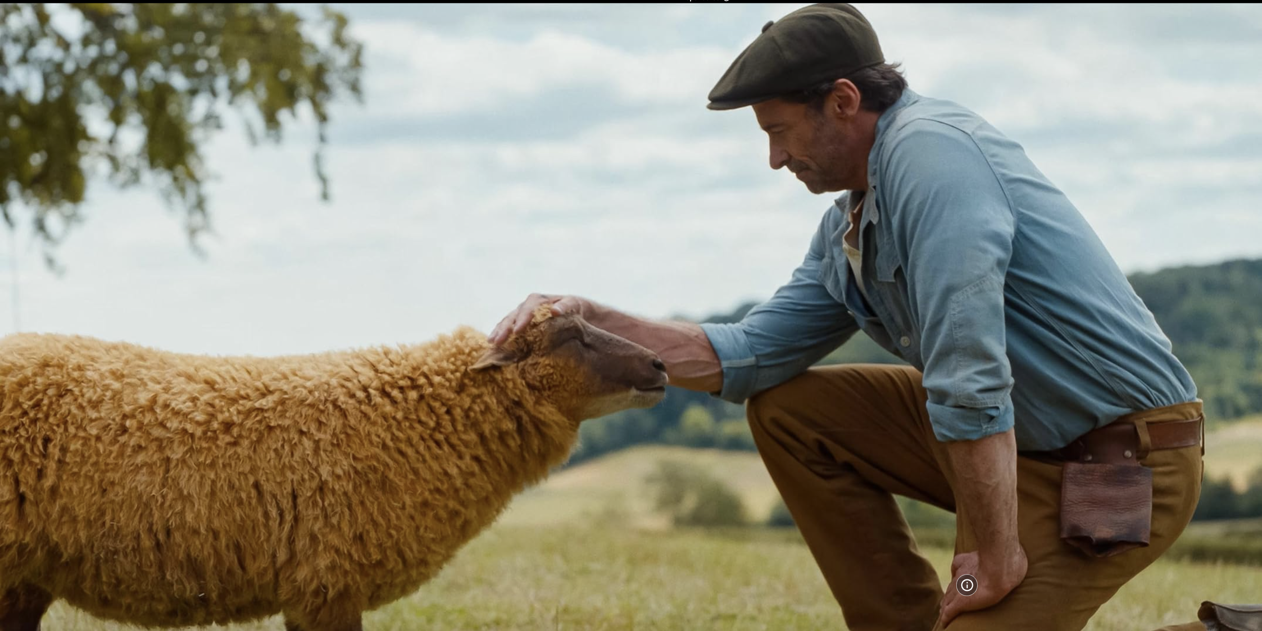 ‘Sheep Detectives’ Made Me Cry?