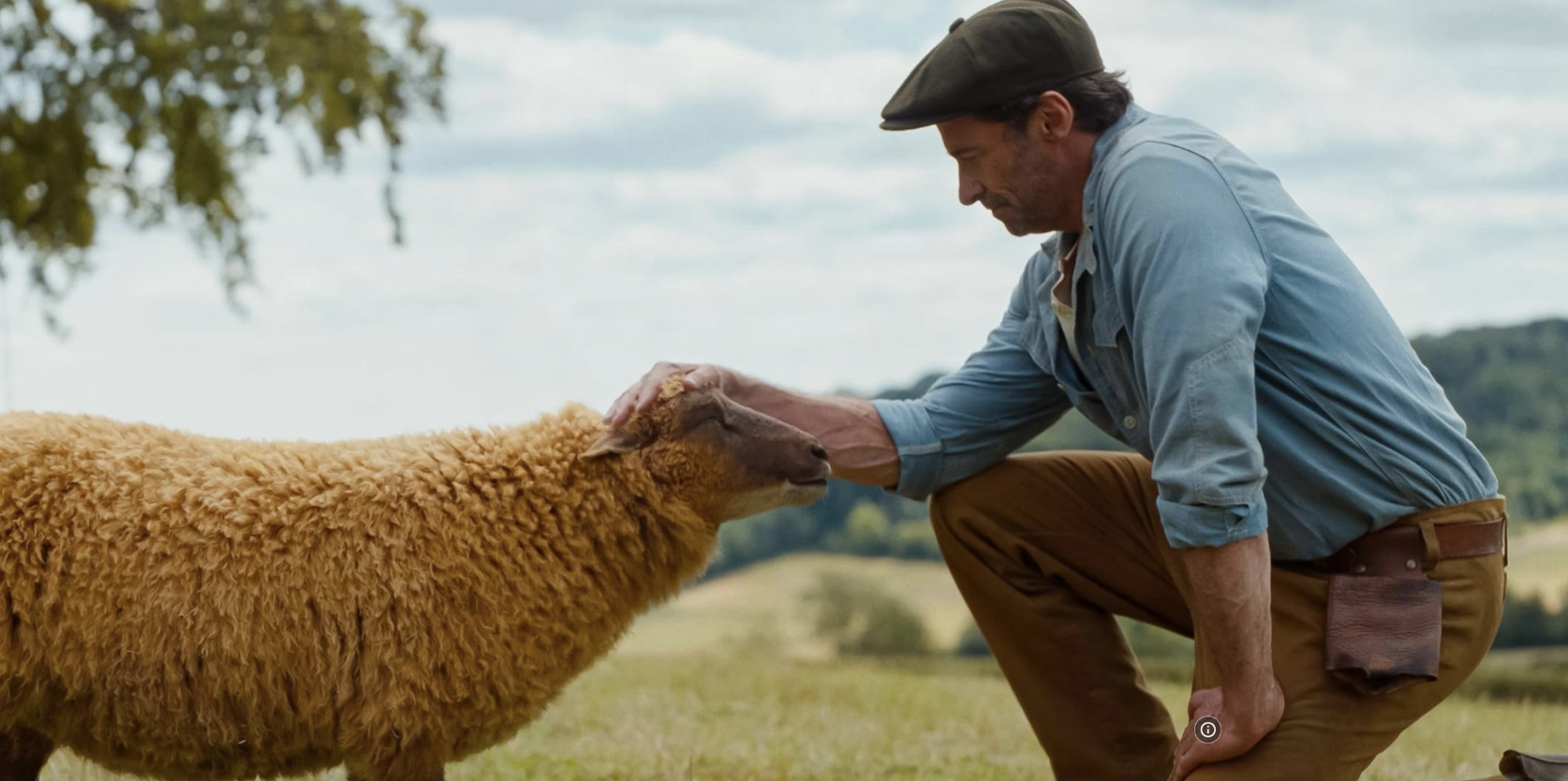 ‘Sheep Detectives’ Made Me Cry?