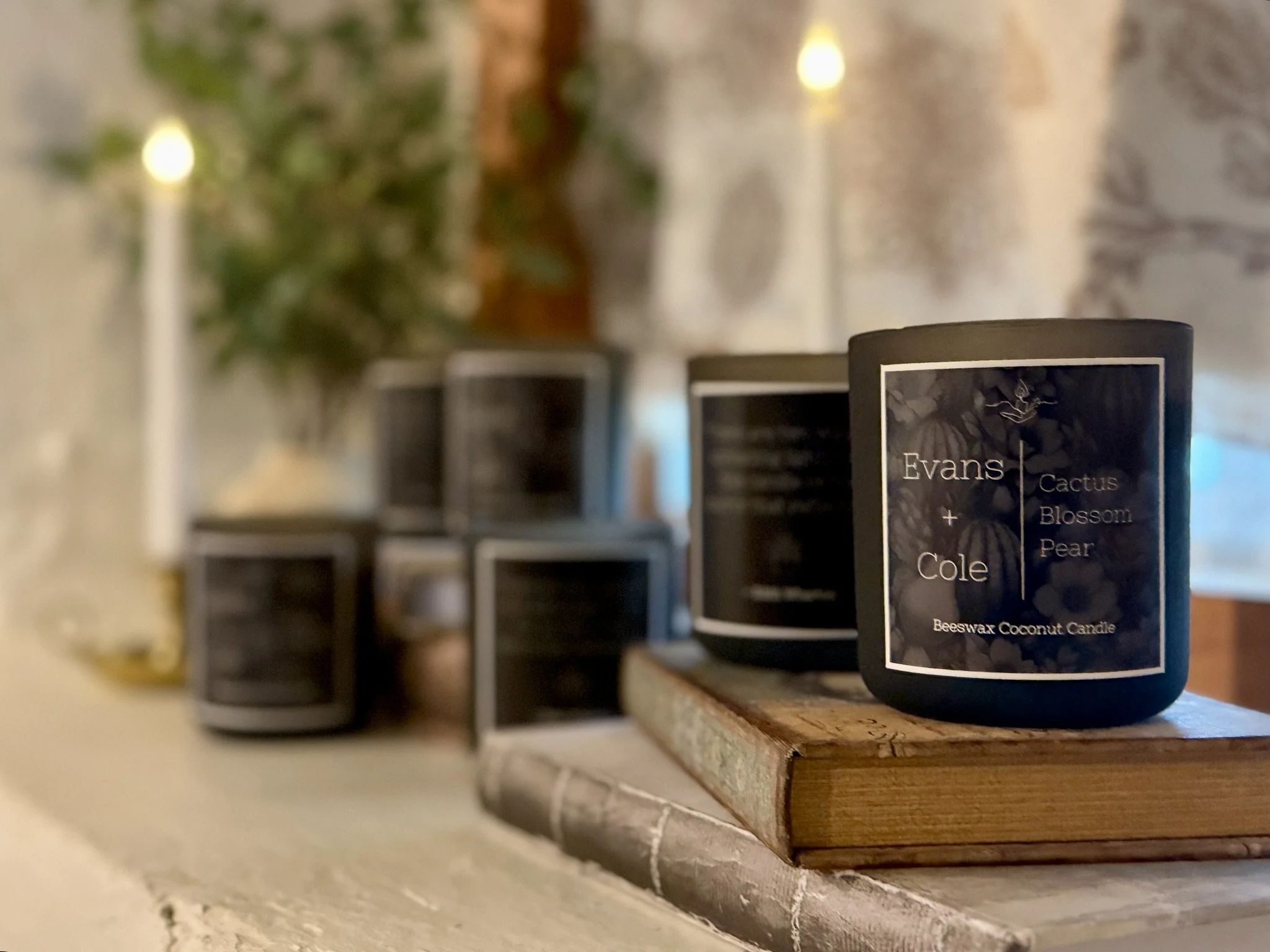 A candle with a black label reading "Evans + Cole Cactus Blossom Pear Beeswax Coconut Candle" placed on a wooden surface, with a blurred background of potted plants and candles.