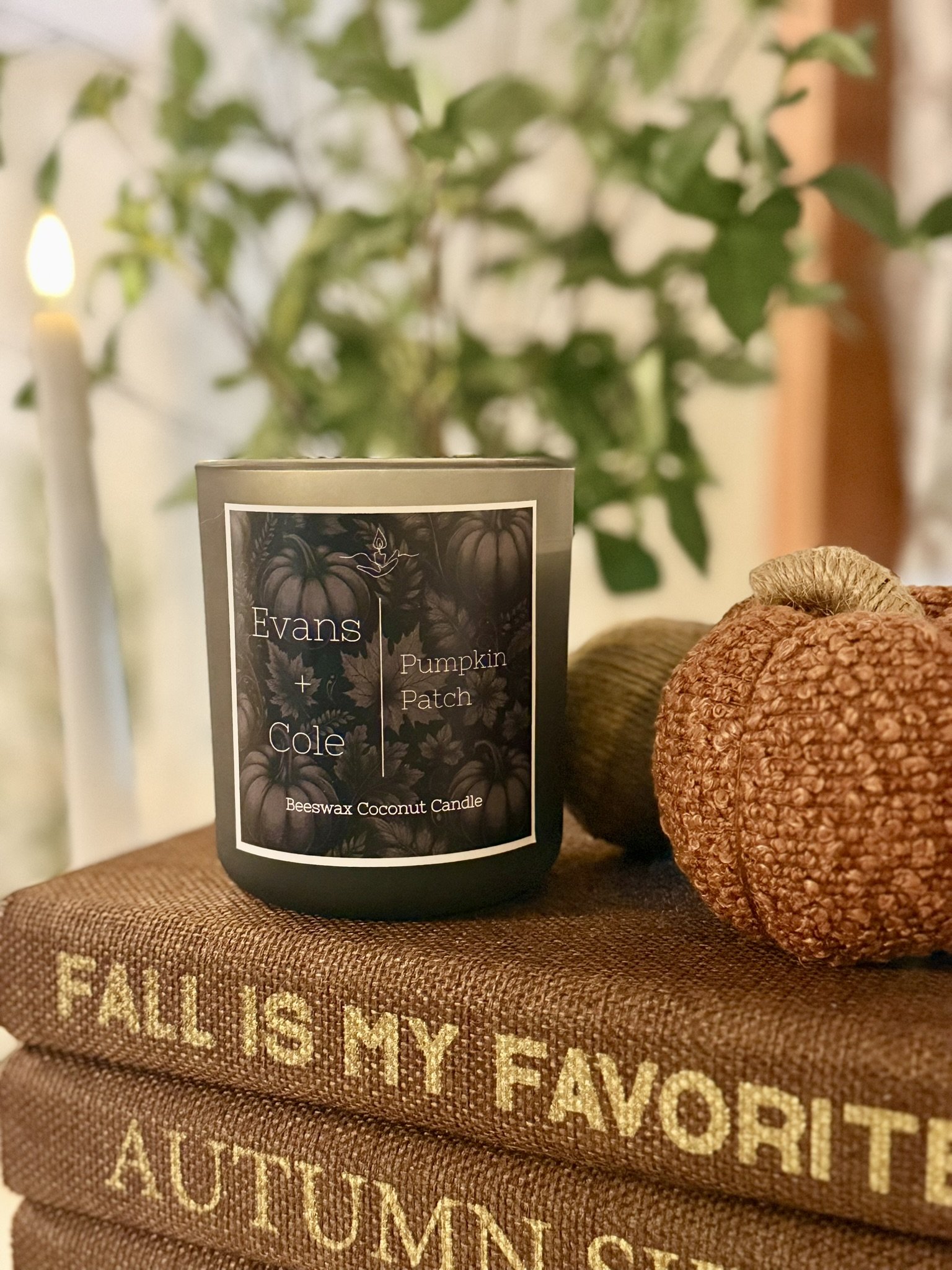 A black candle labeled "Evans + Cole Pumpkin Patch Beeswax Coconut Candle" with two pumpkins and a book titled "Fall is My Favorite" and "Autumn" on a brown surface. A plant and a lit candle are in the background.