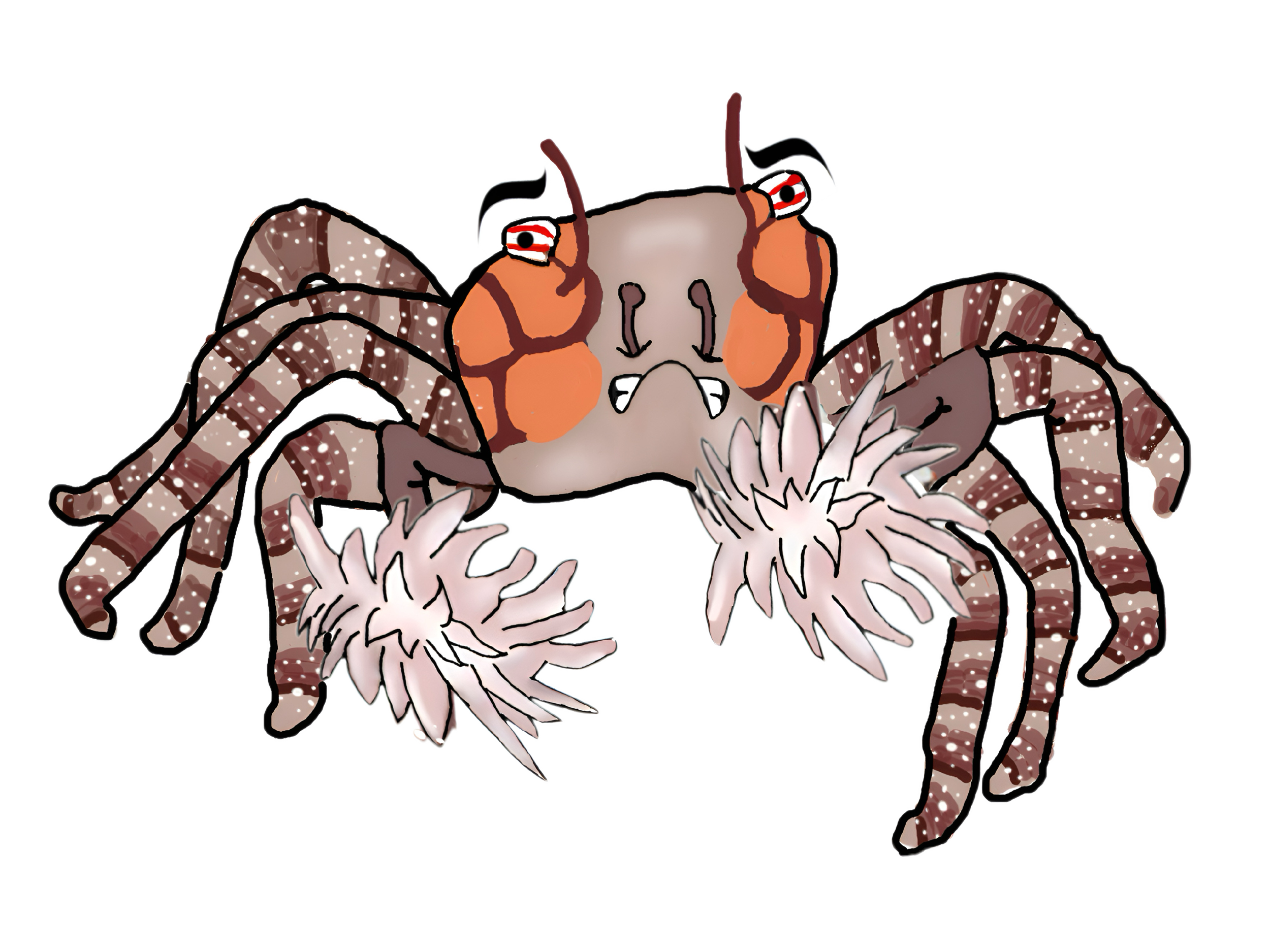 A cartoon of a pom pom crab