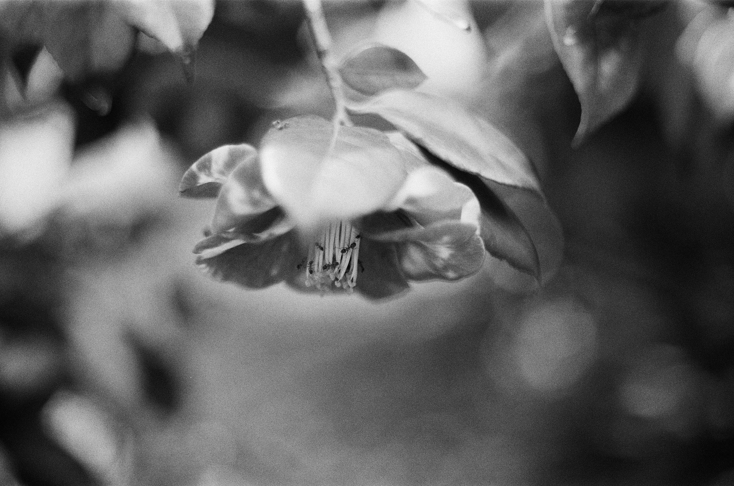 FilmPortfolio-6.jpg
