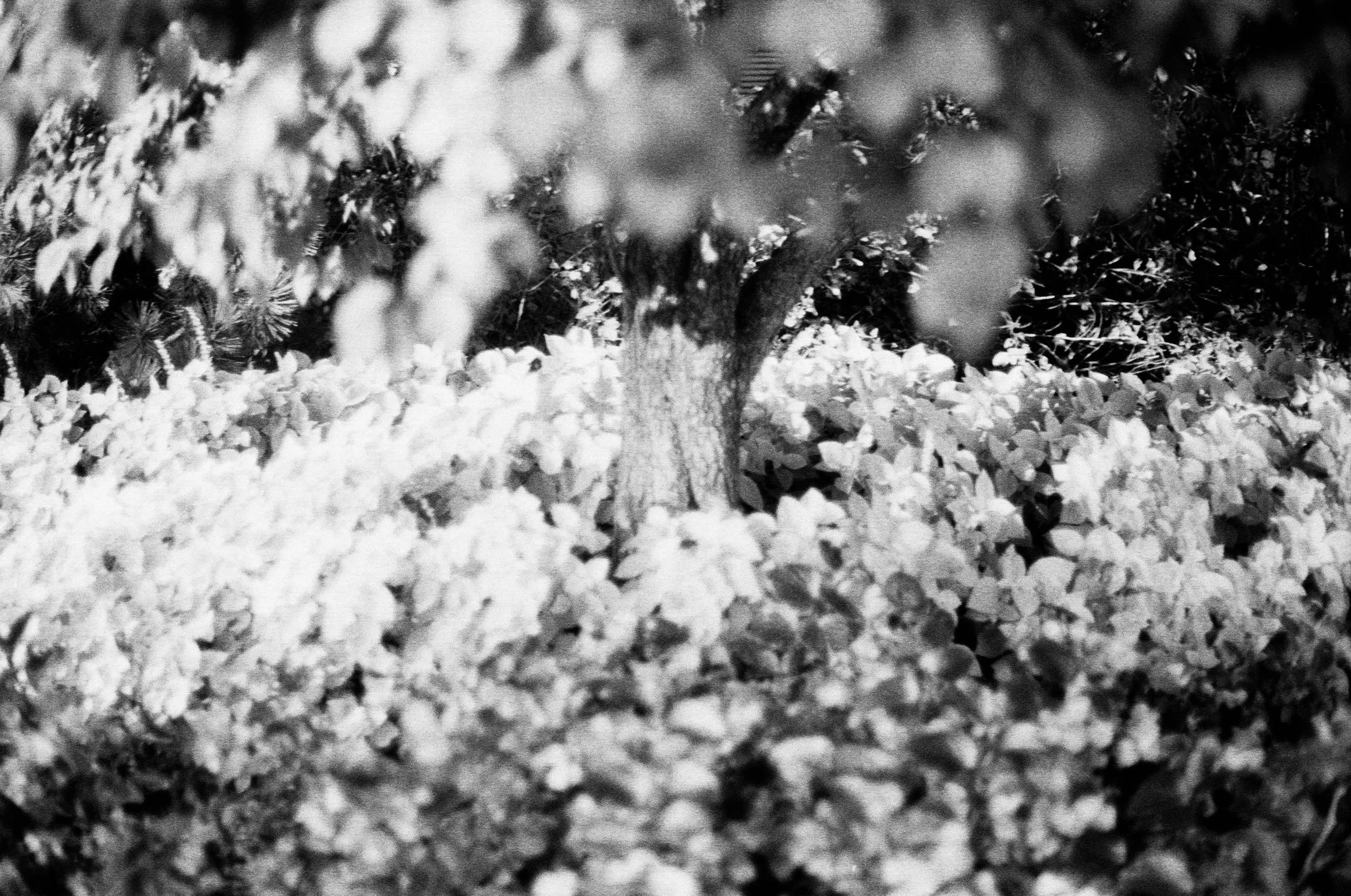 FilmPortfolio-4.jpg