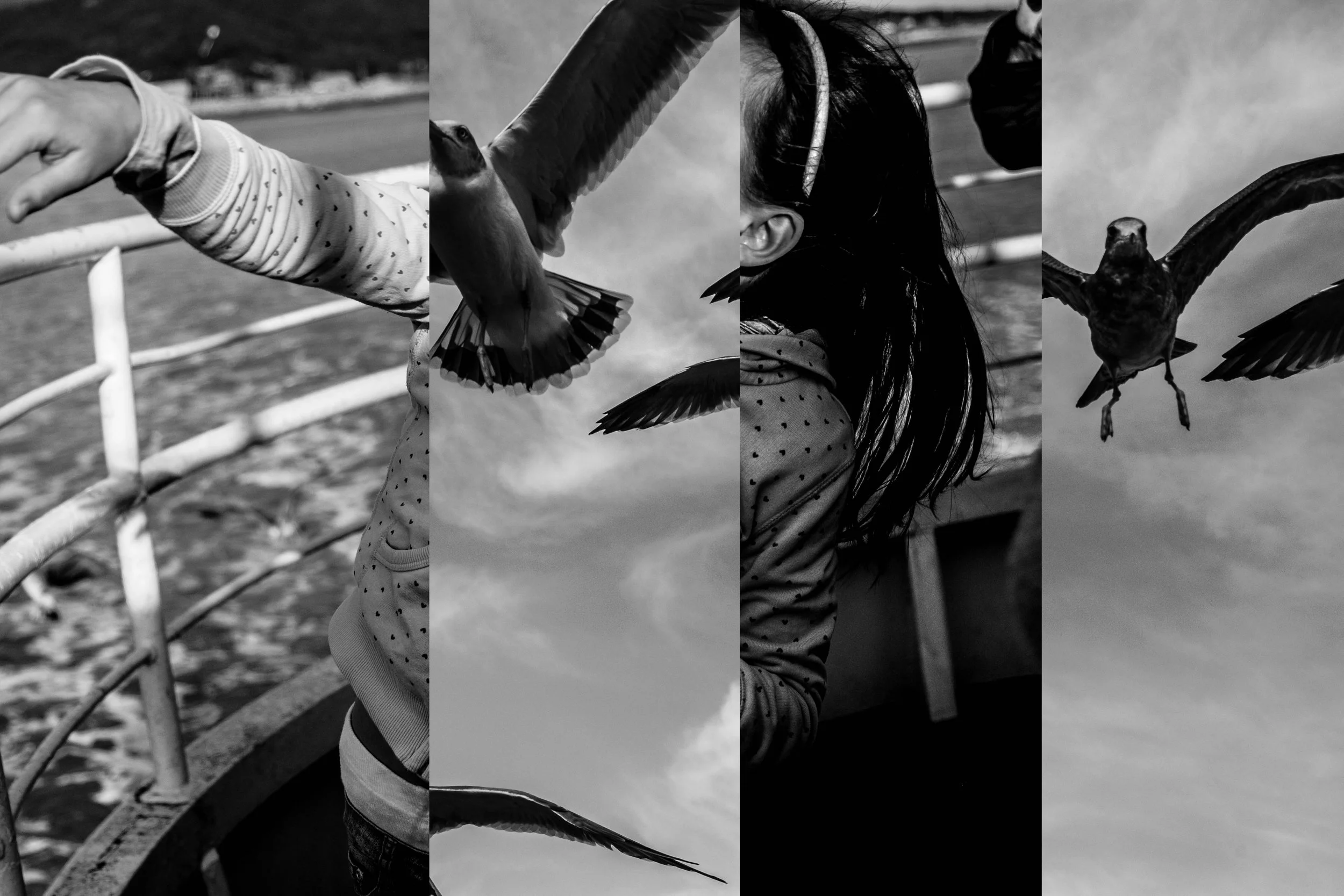 DigitalPortfolio-5.jpg