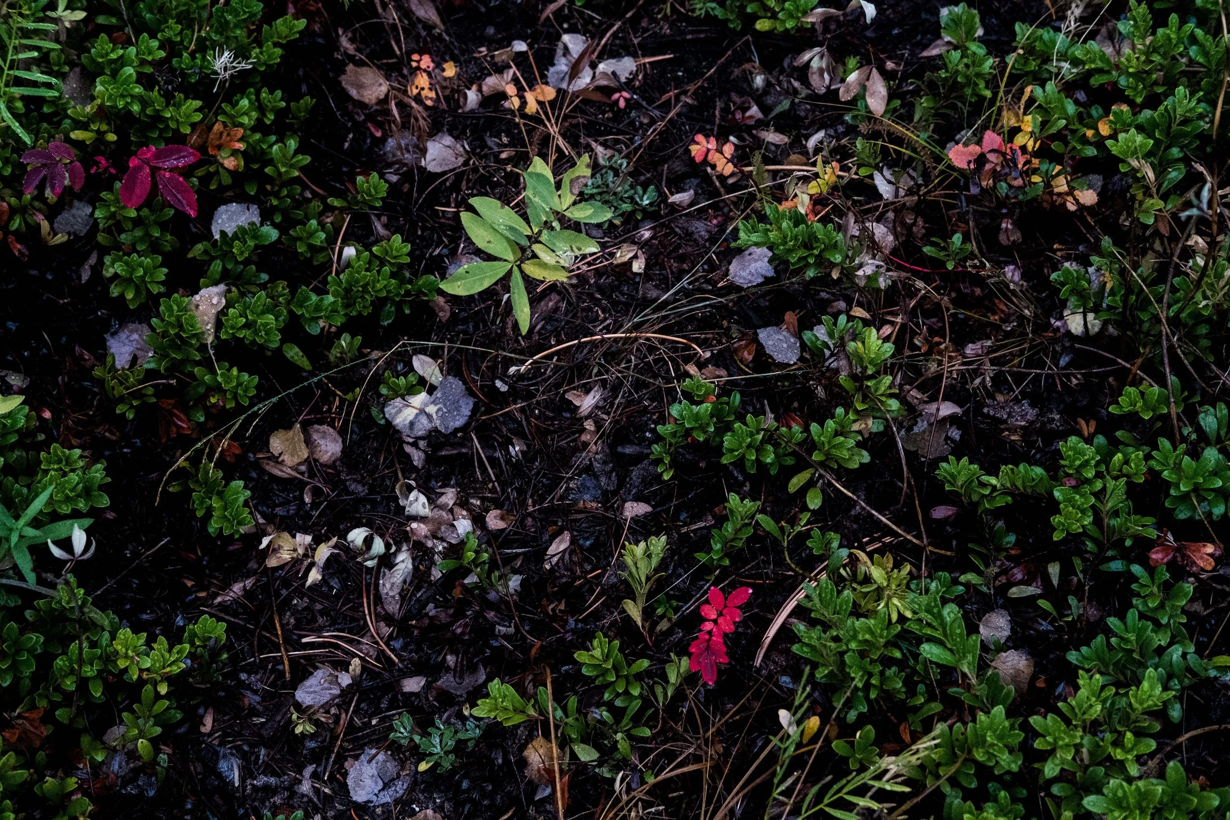 DigitalPortfolio-18.jpg