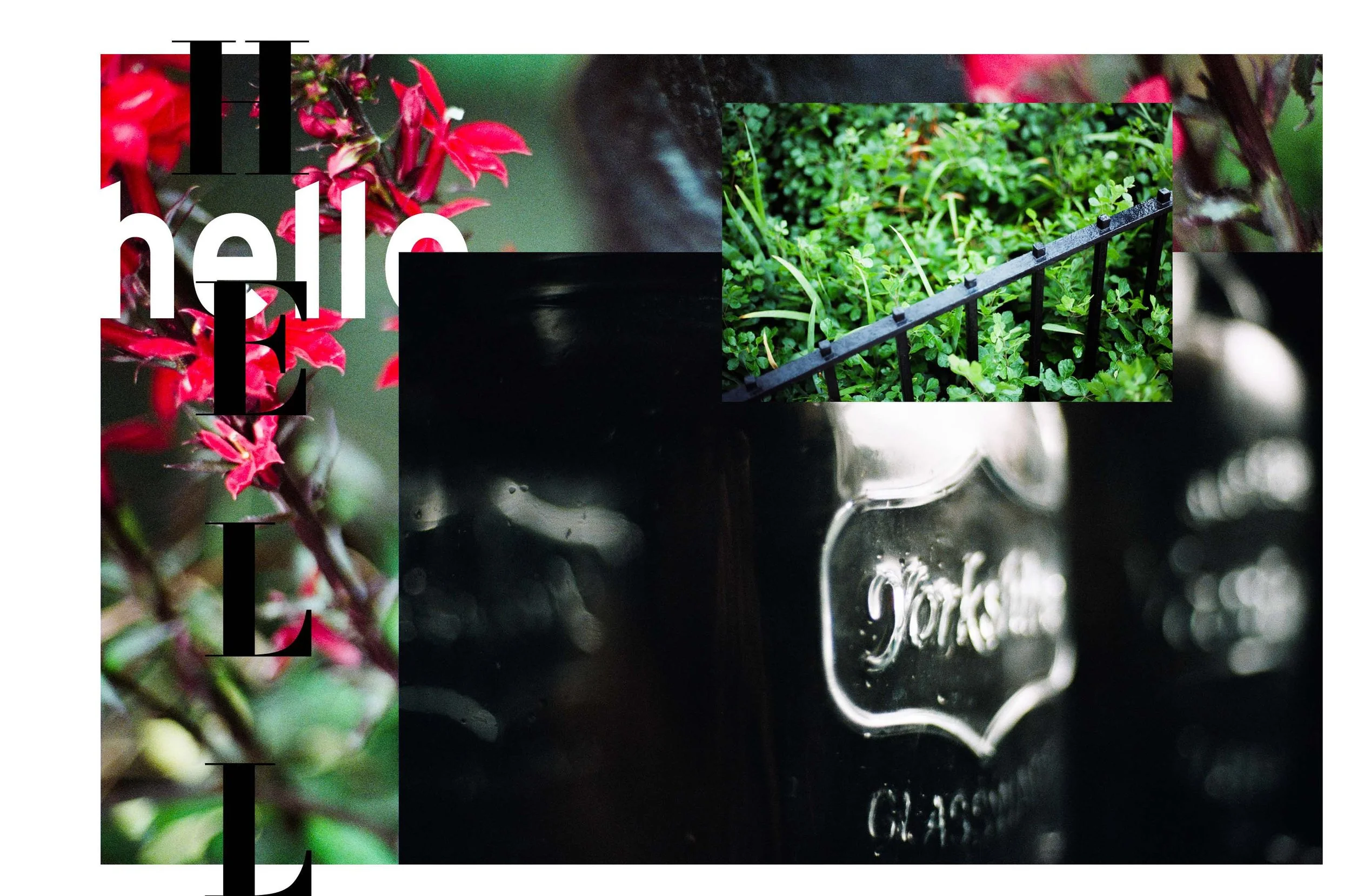 Portfolio-38.jpg