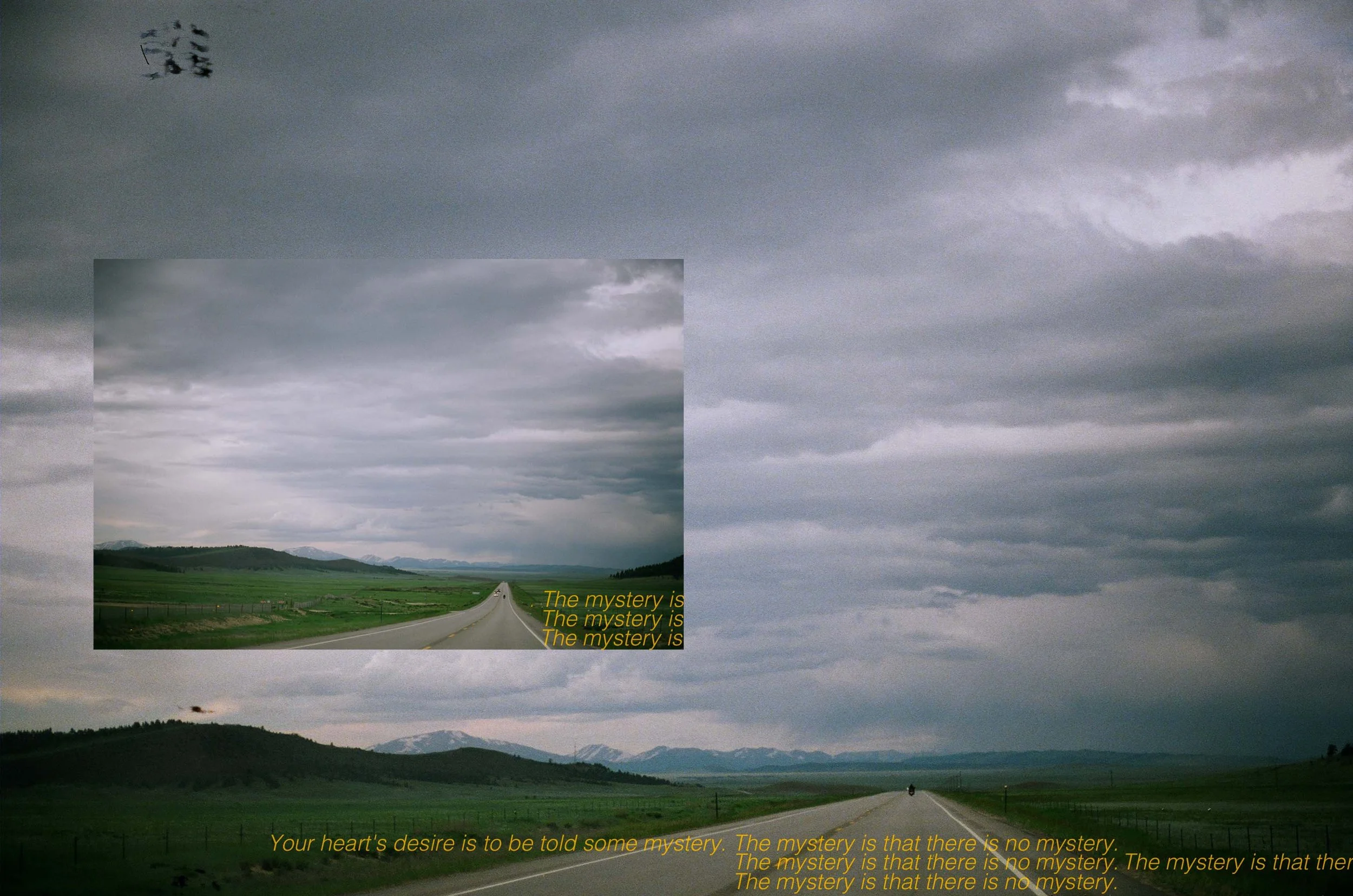 Portfolio-46.jpg