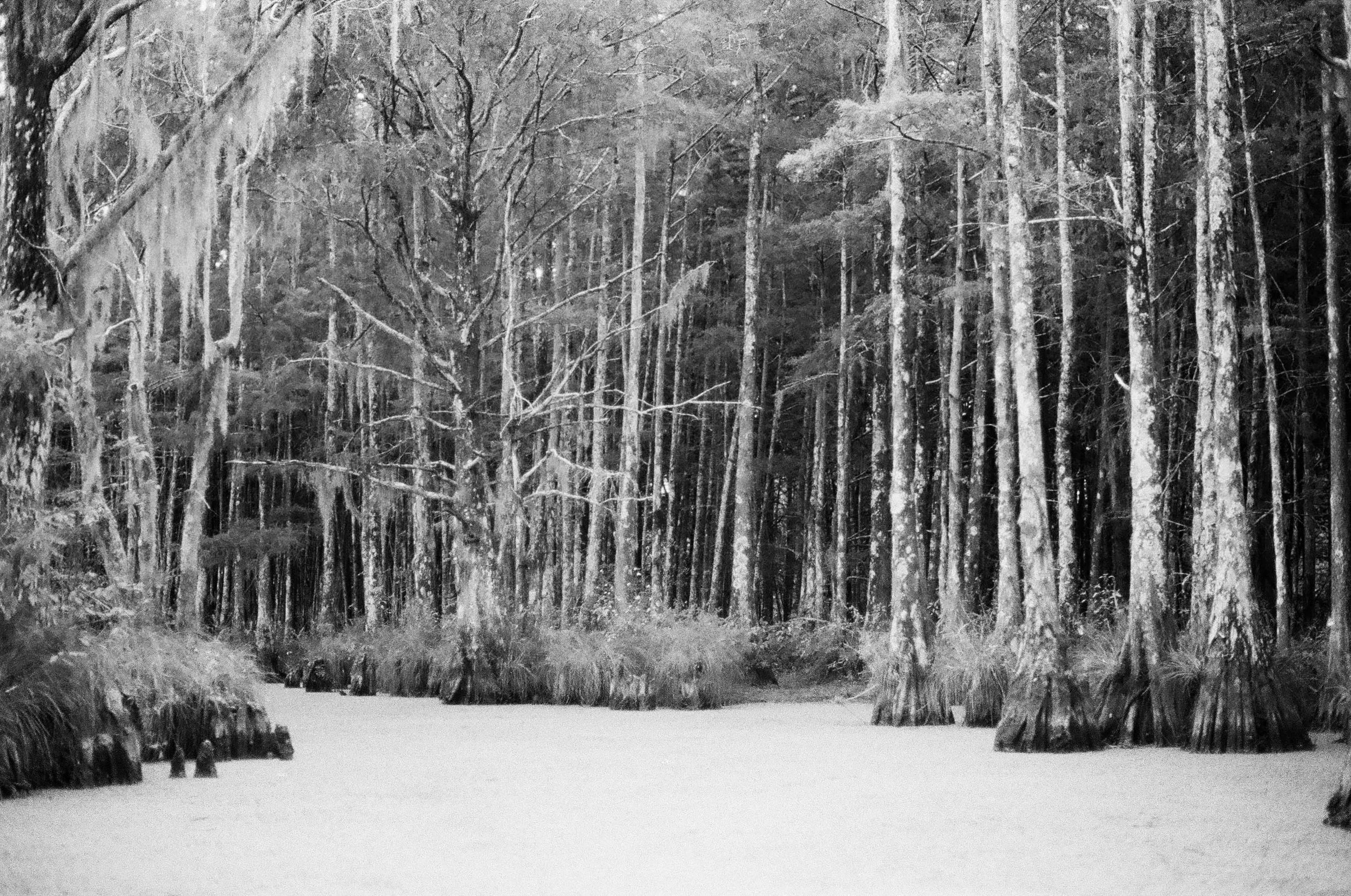 FilmPortfolio-5.jpg