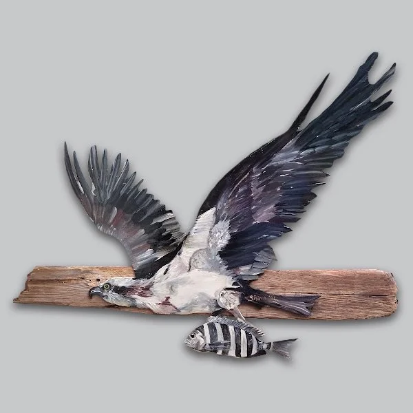 osprey3d.jpg