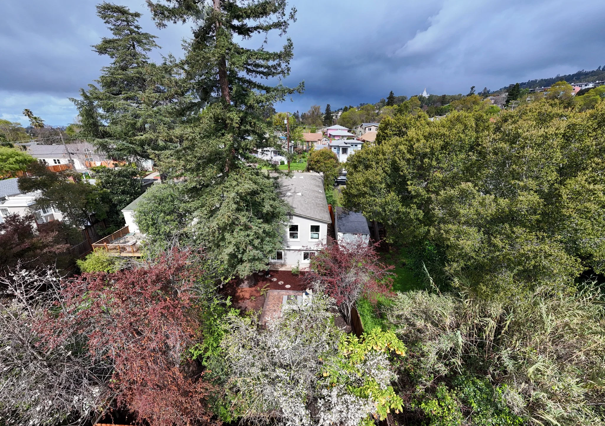 Neighborhood drone 1.jpg