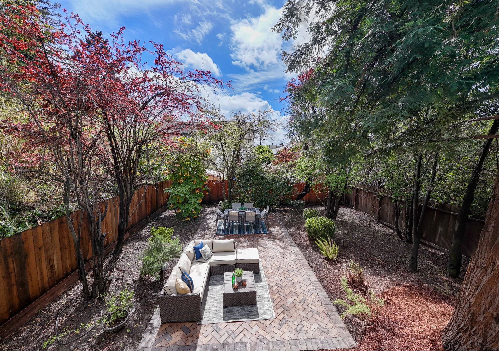 drone full back yard.jpg