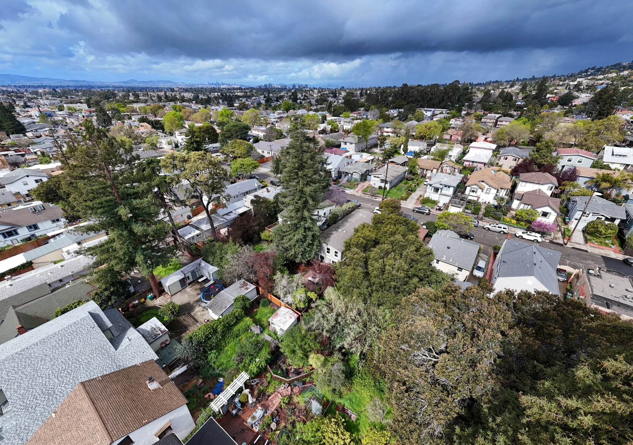 neighborhood drone oak.jpg