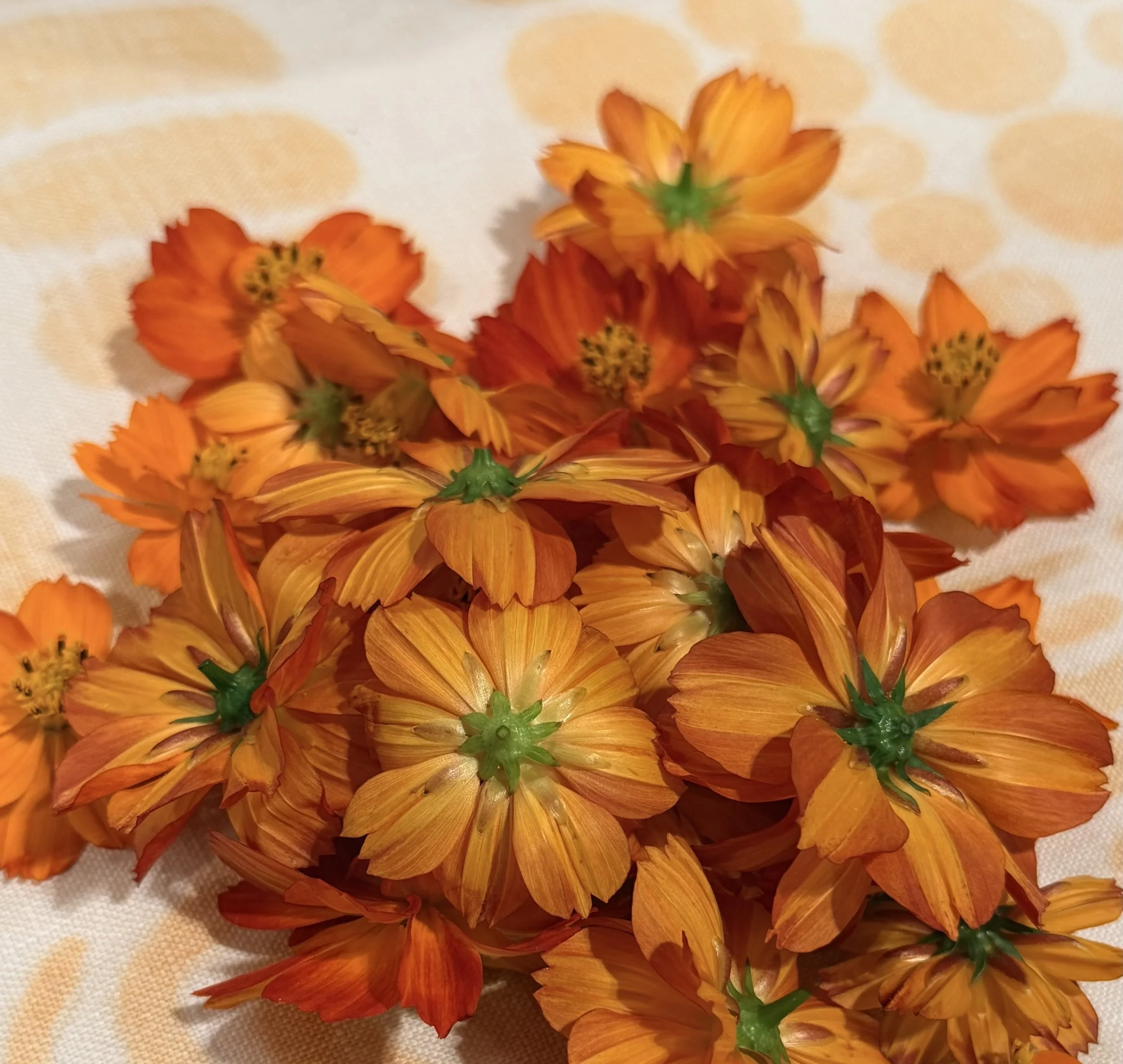 RSaylorPaintingwithflowers10.jpeg
