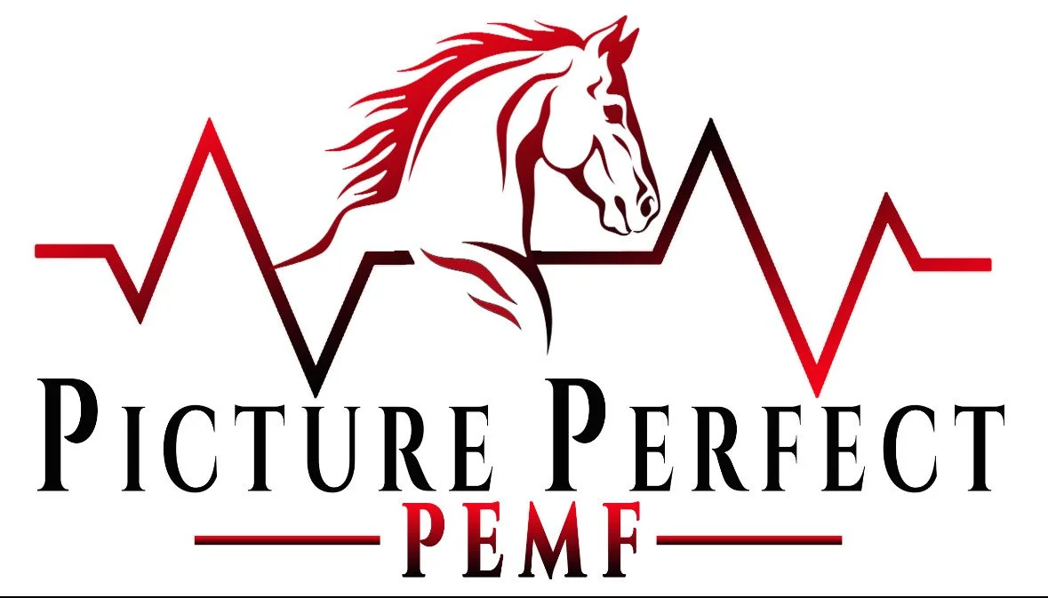 Event Sponsor - CCPRA Barrel Racing 7/11