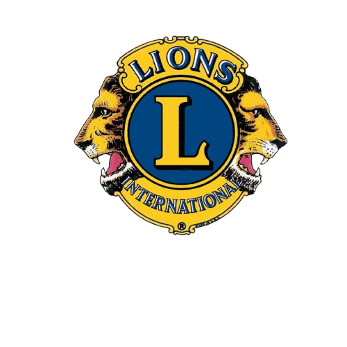 Bronze Sponsor