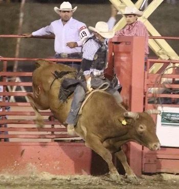 Lake County Rodeo - Bull Riding