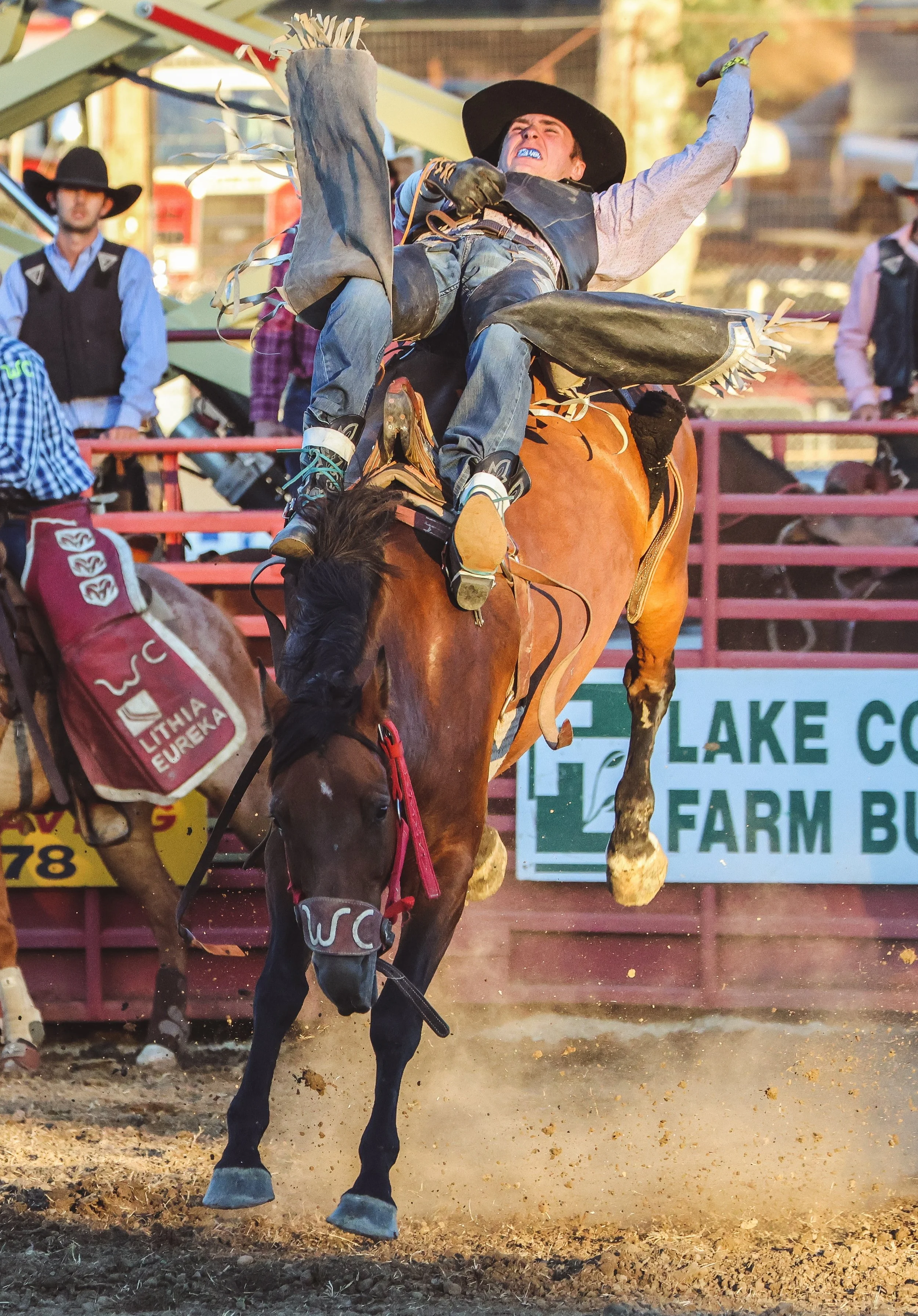 Lake County Rodeo Bareback Bronc Riding