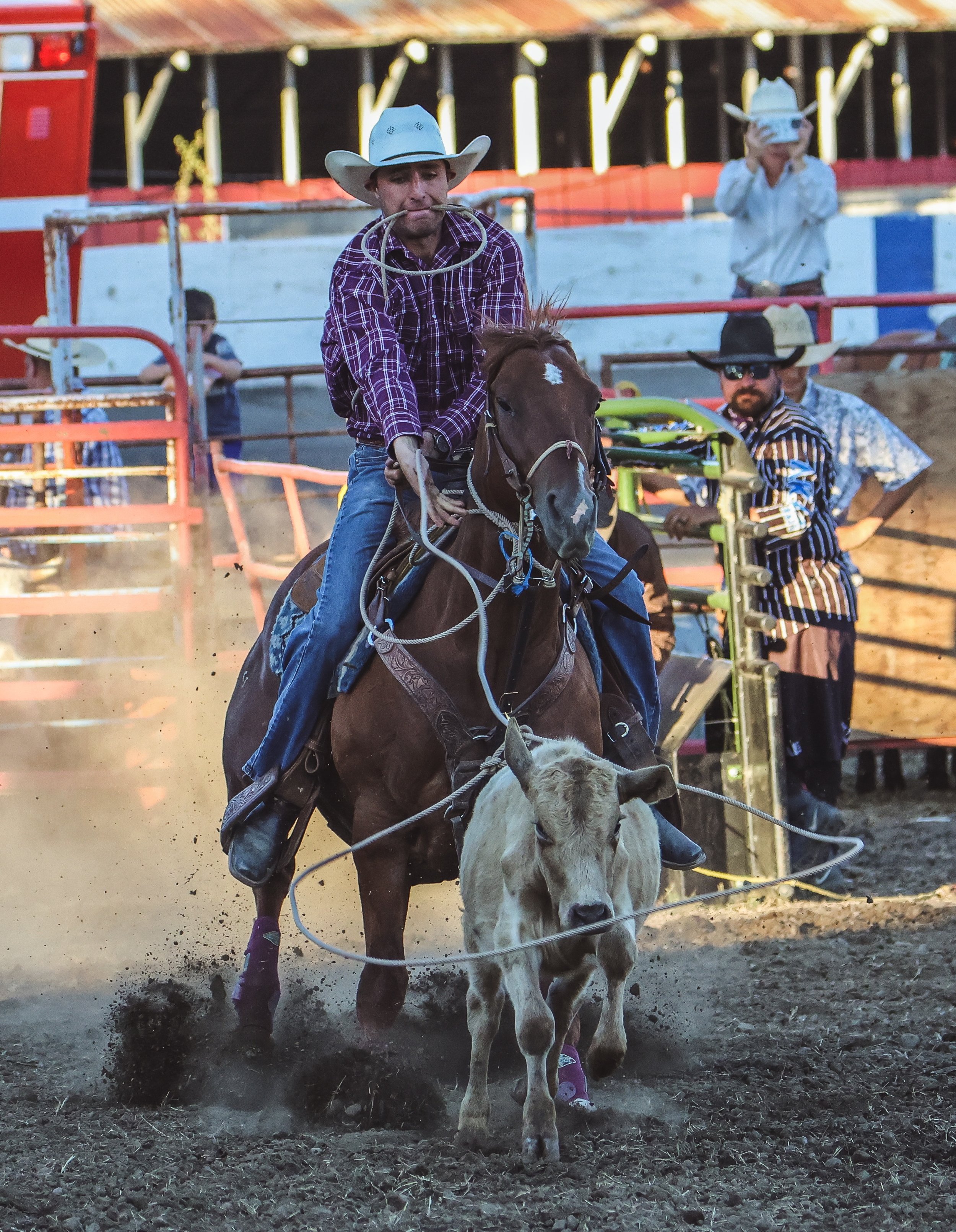 Lake County Rodeo Calf Roping