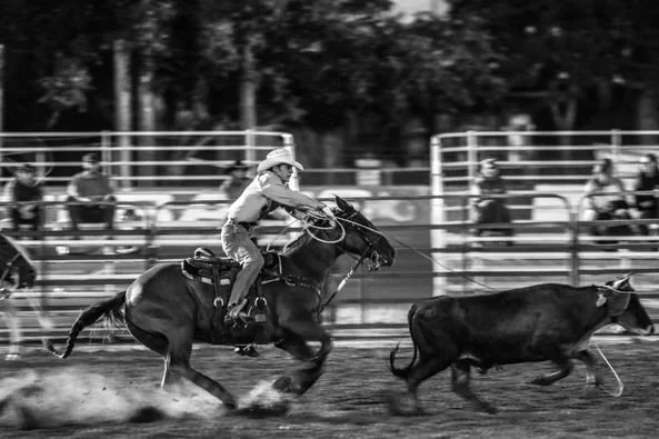Rodeo Event Team Roping
