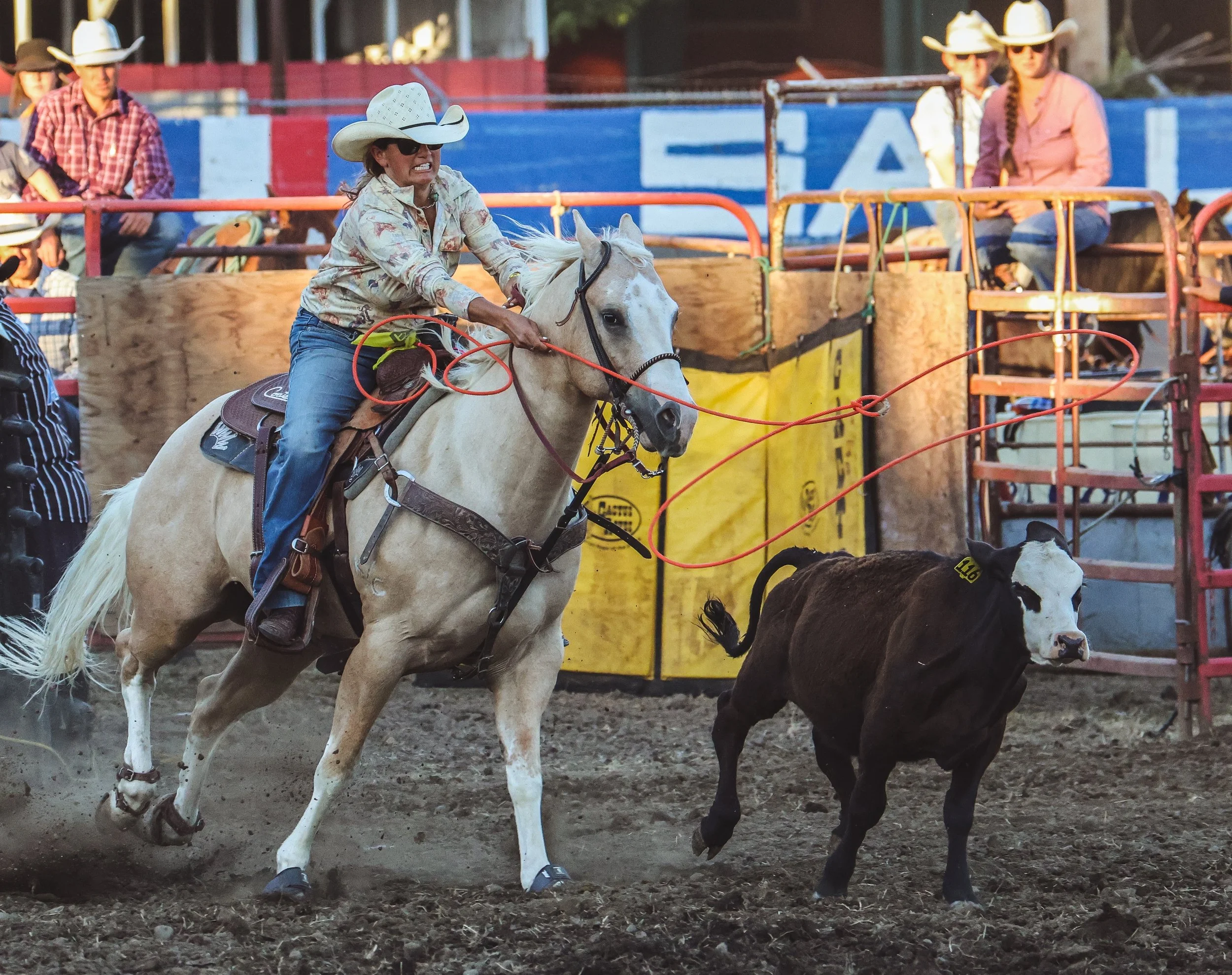 Lake County Rodeo Breakaway Roping