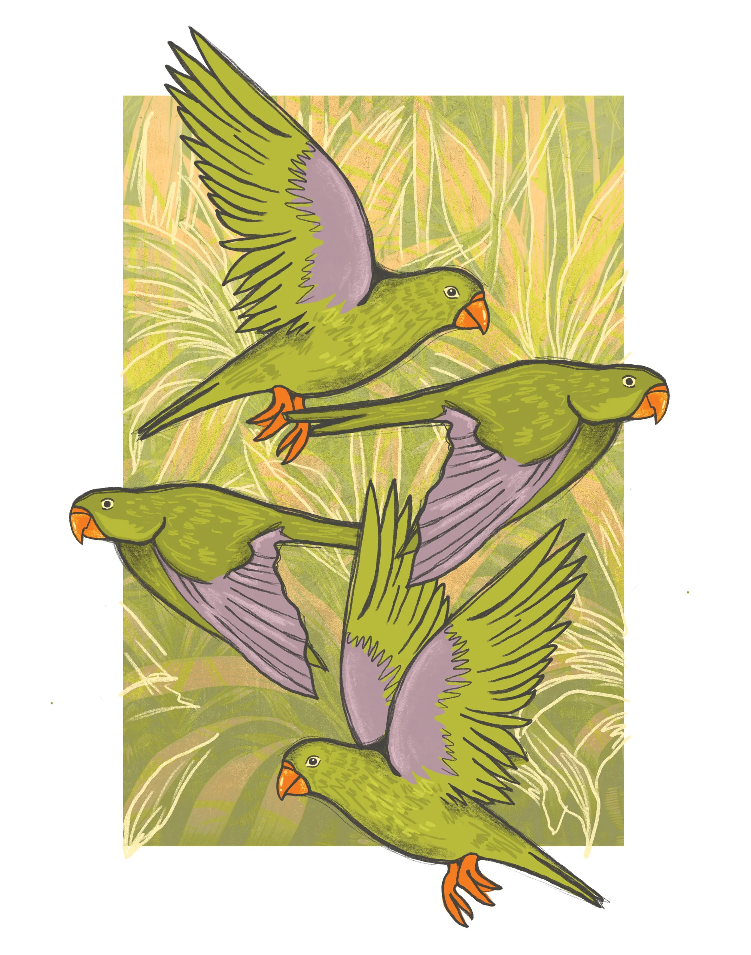 Artboard 1 copy 5.jpg