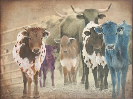 Cattle Call 10A 18x24” $840
