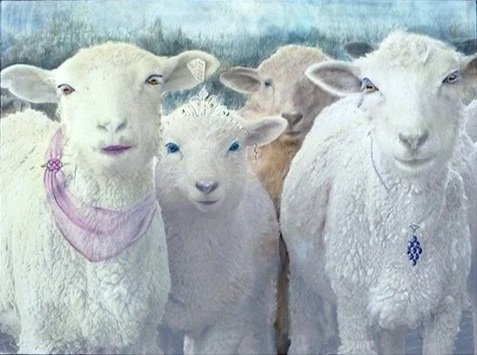 Sheep 12 30x40” $1800