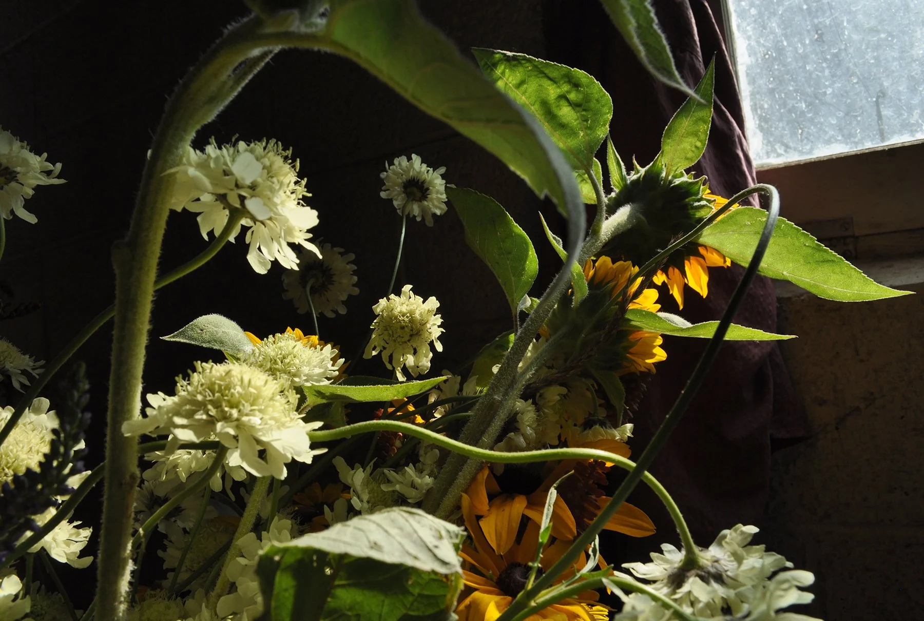 This Just Makes Me Smile