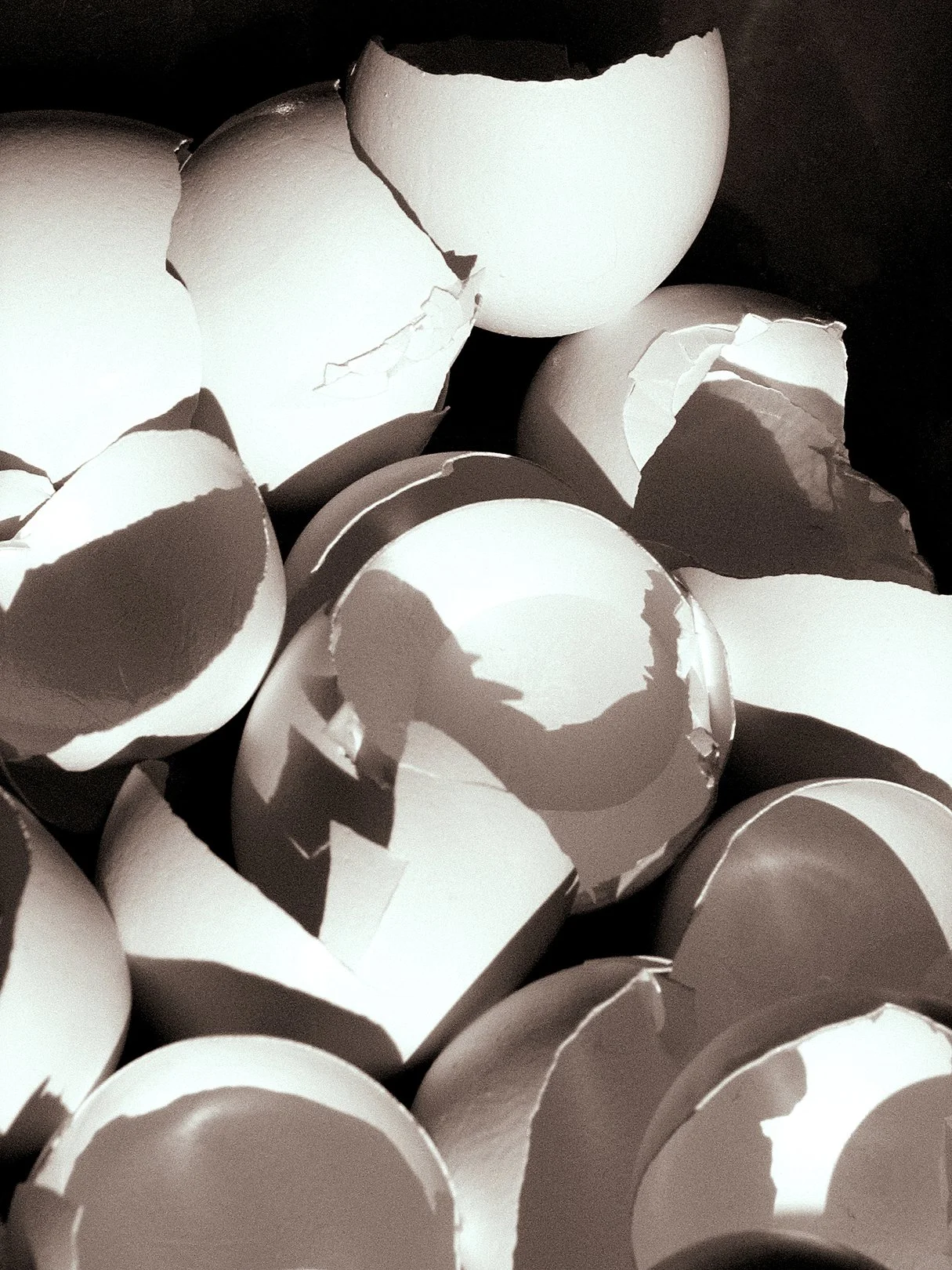 Many Broken Eggs