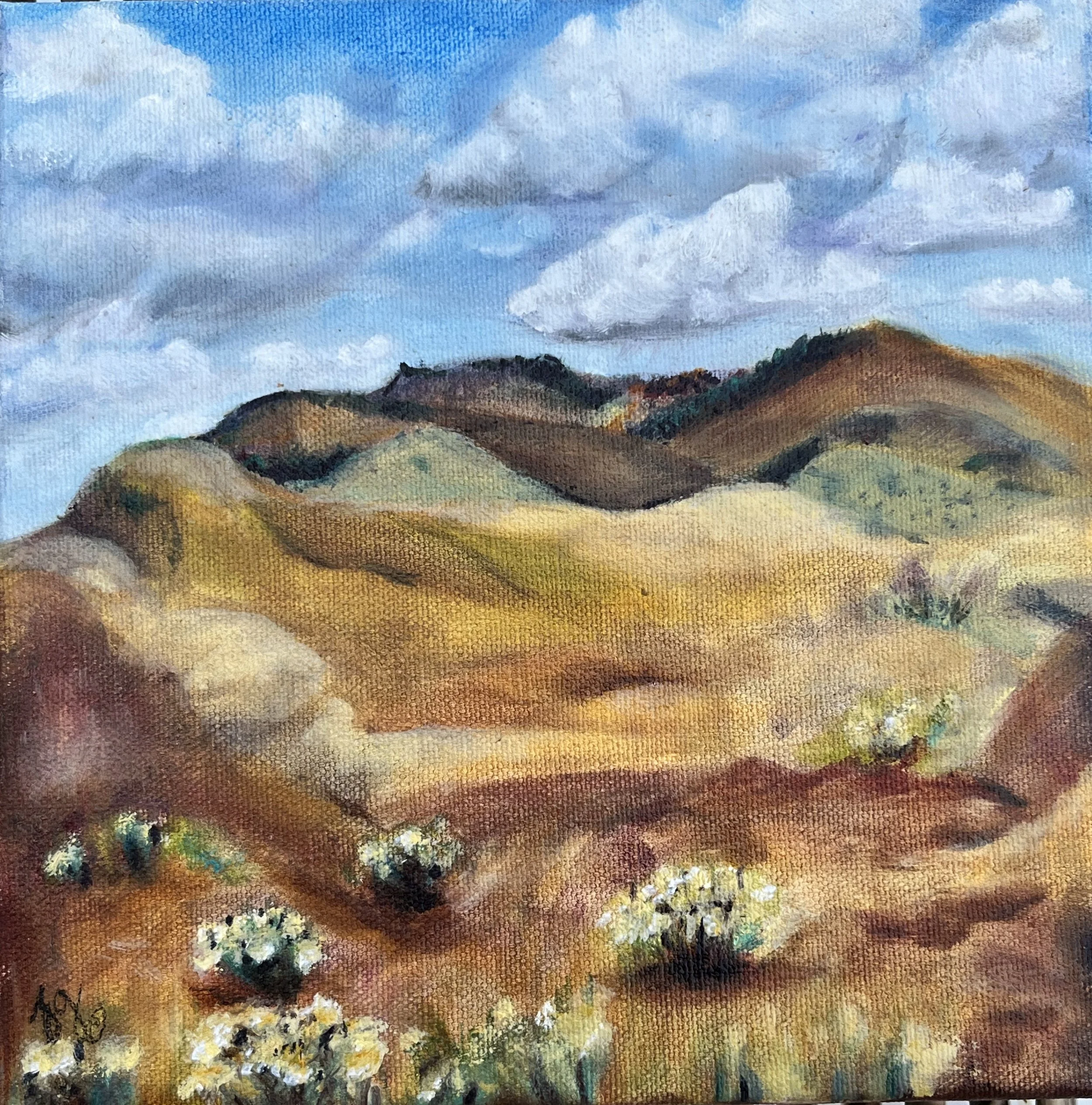 Southwest Landscape