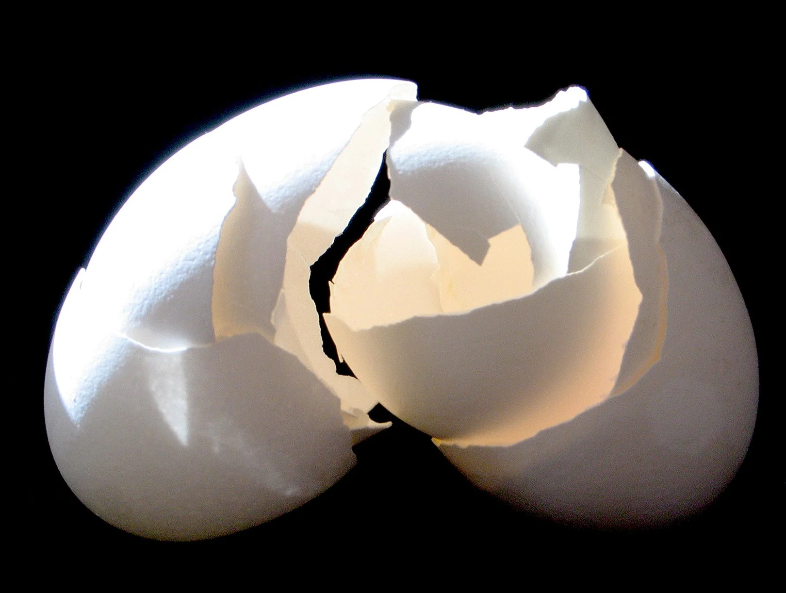 Facing Eggs Two