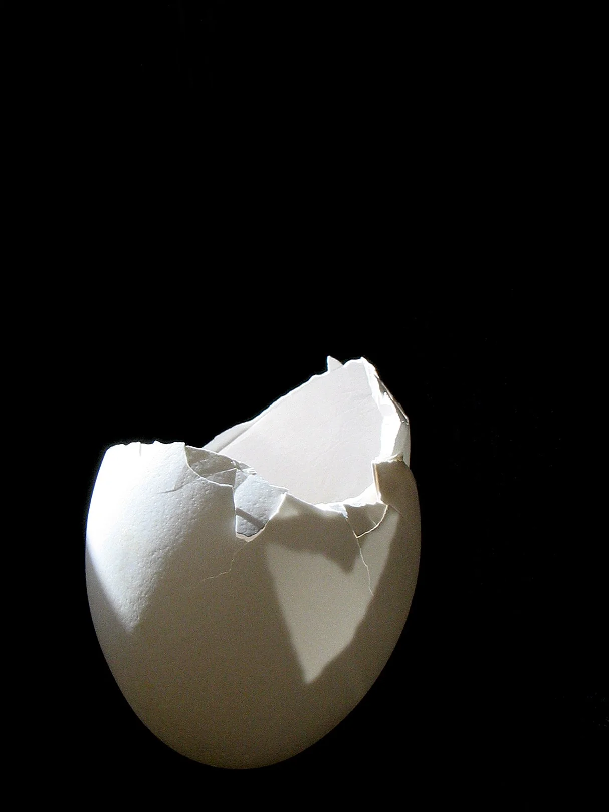 Single Egg Broken