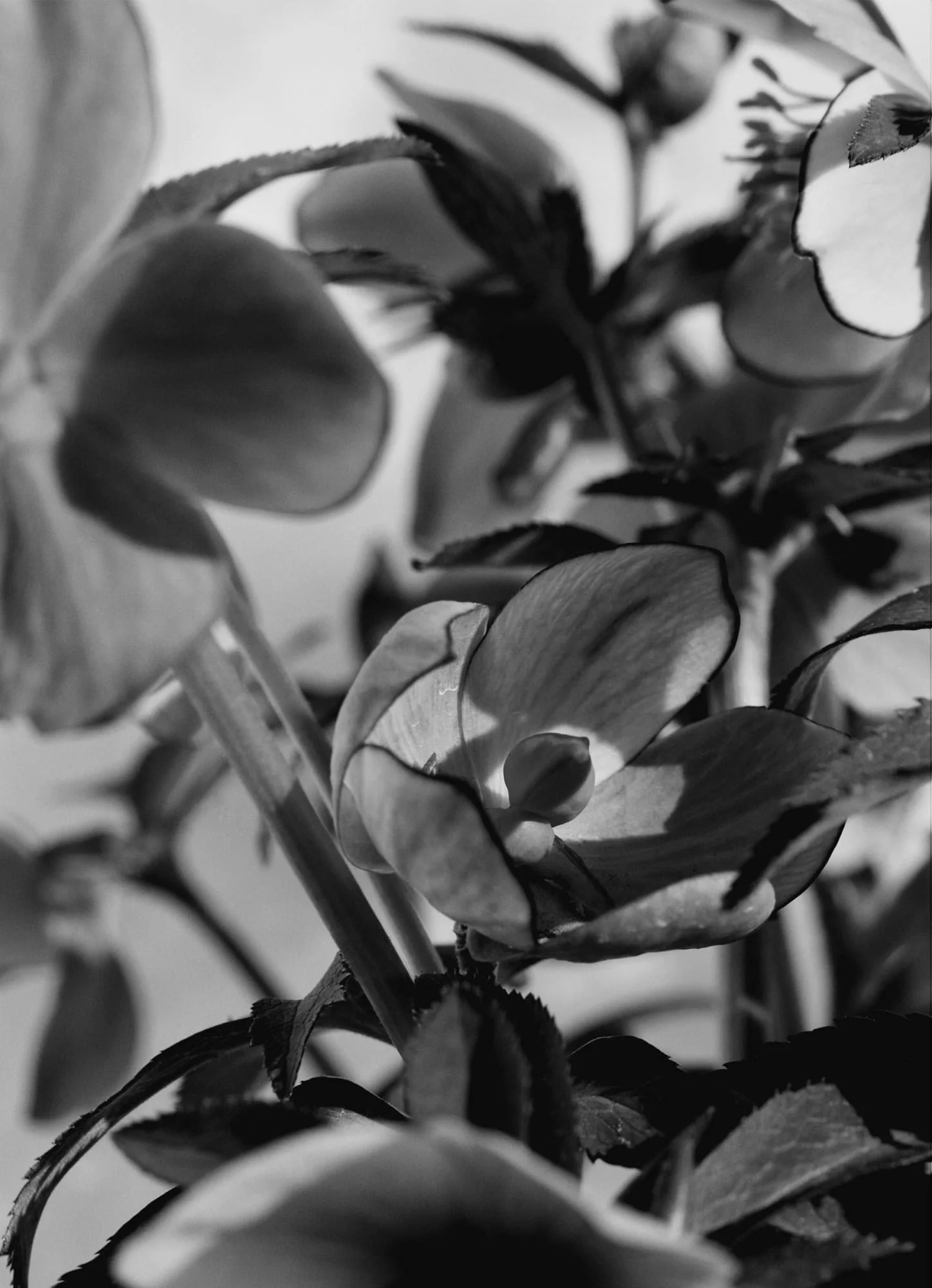 YYYY_Takashi_Homma_DoBeDo_Nursery_3.jpg