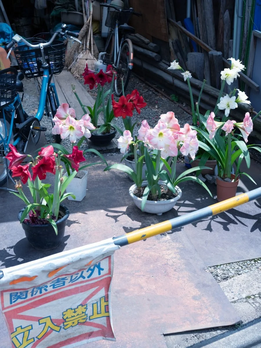2024_06_DoBeDo_Represents_Takashi_Homma_Space_Mag__DSF9494.jpg