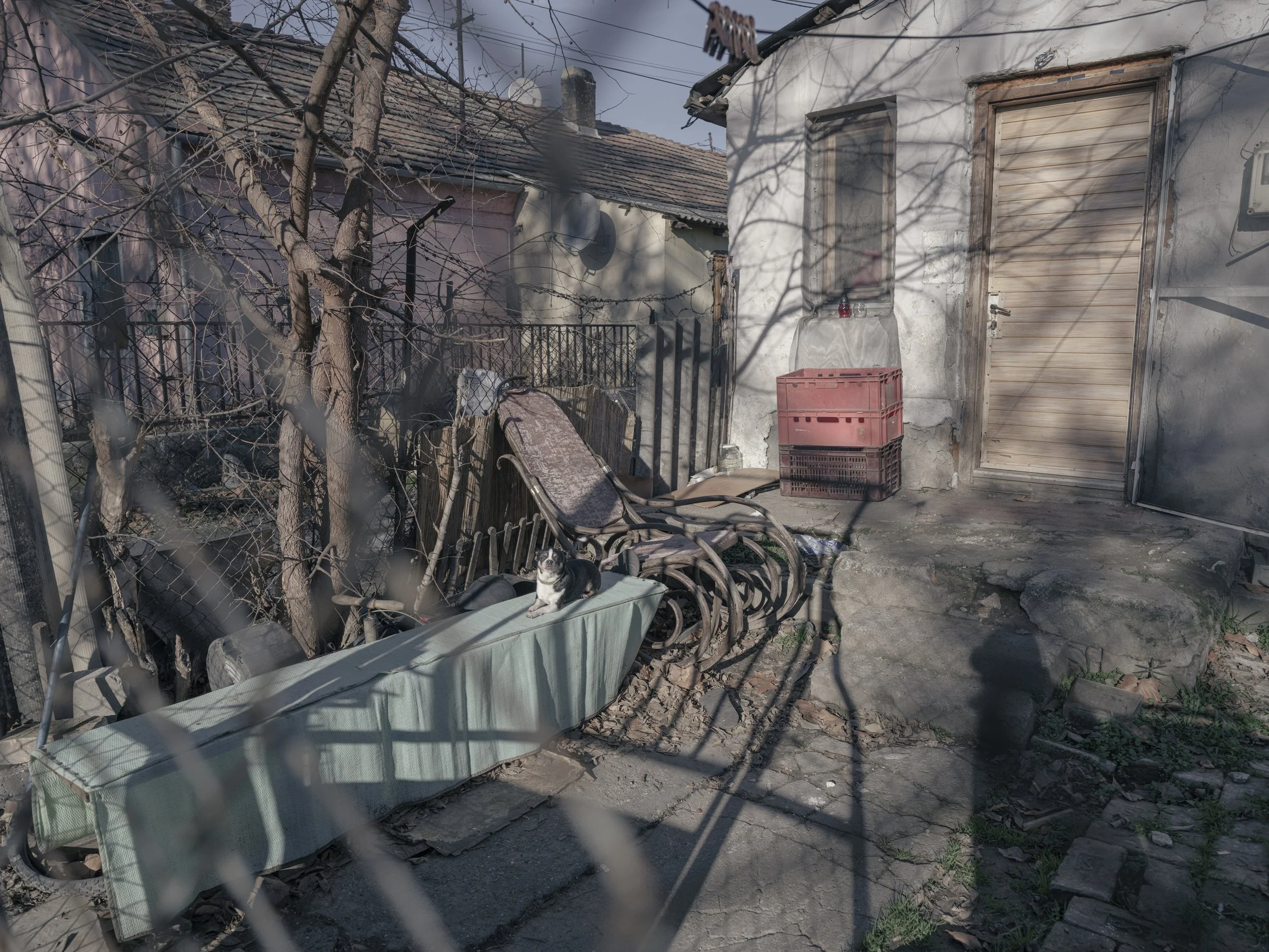 with_greed_comes_torture_marcbasan-28.jpg