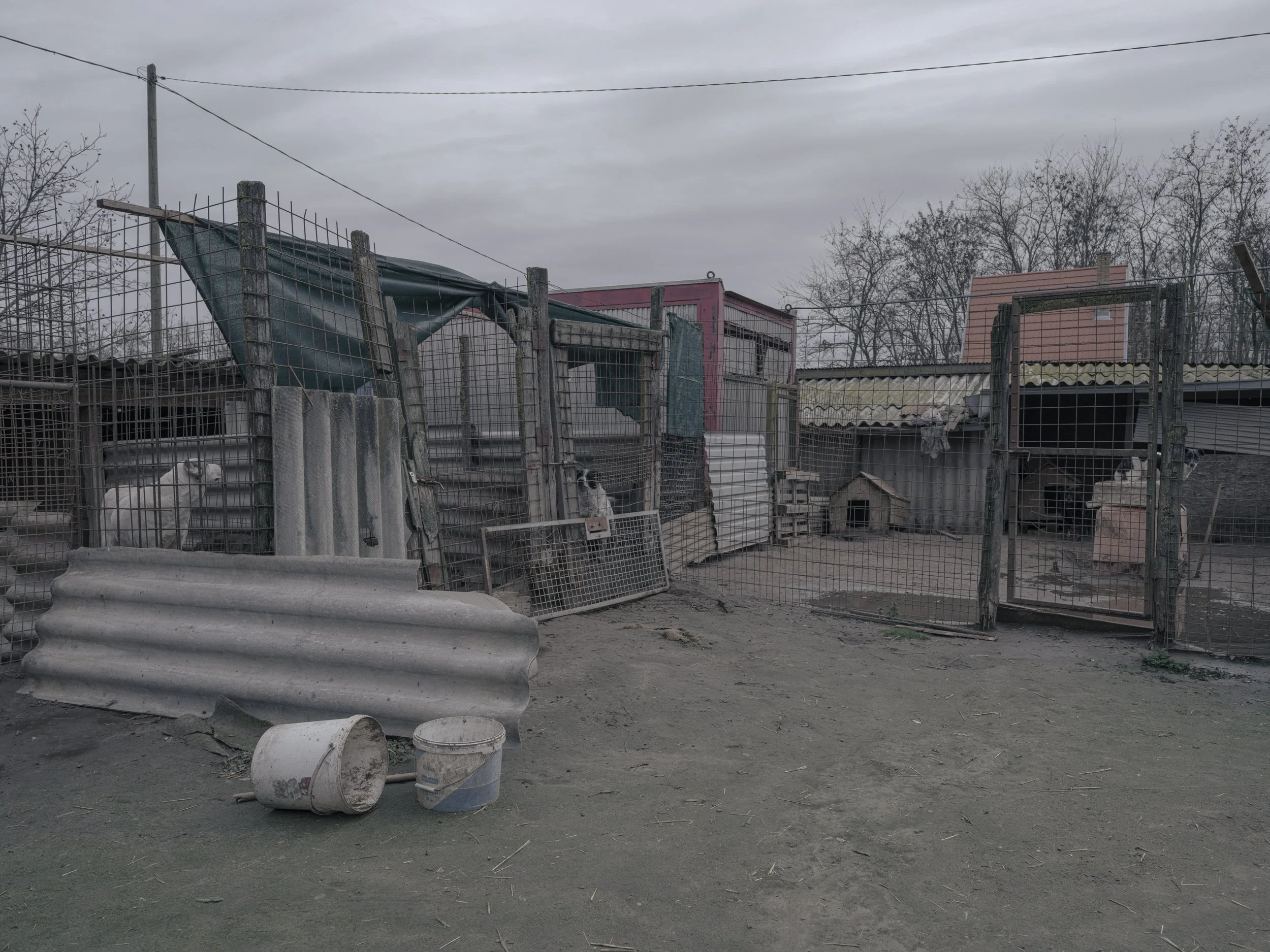 with_greed_comes_torture_marcbasan-37.jpg