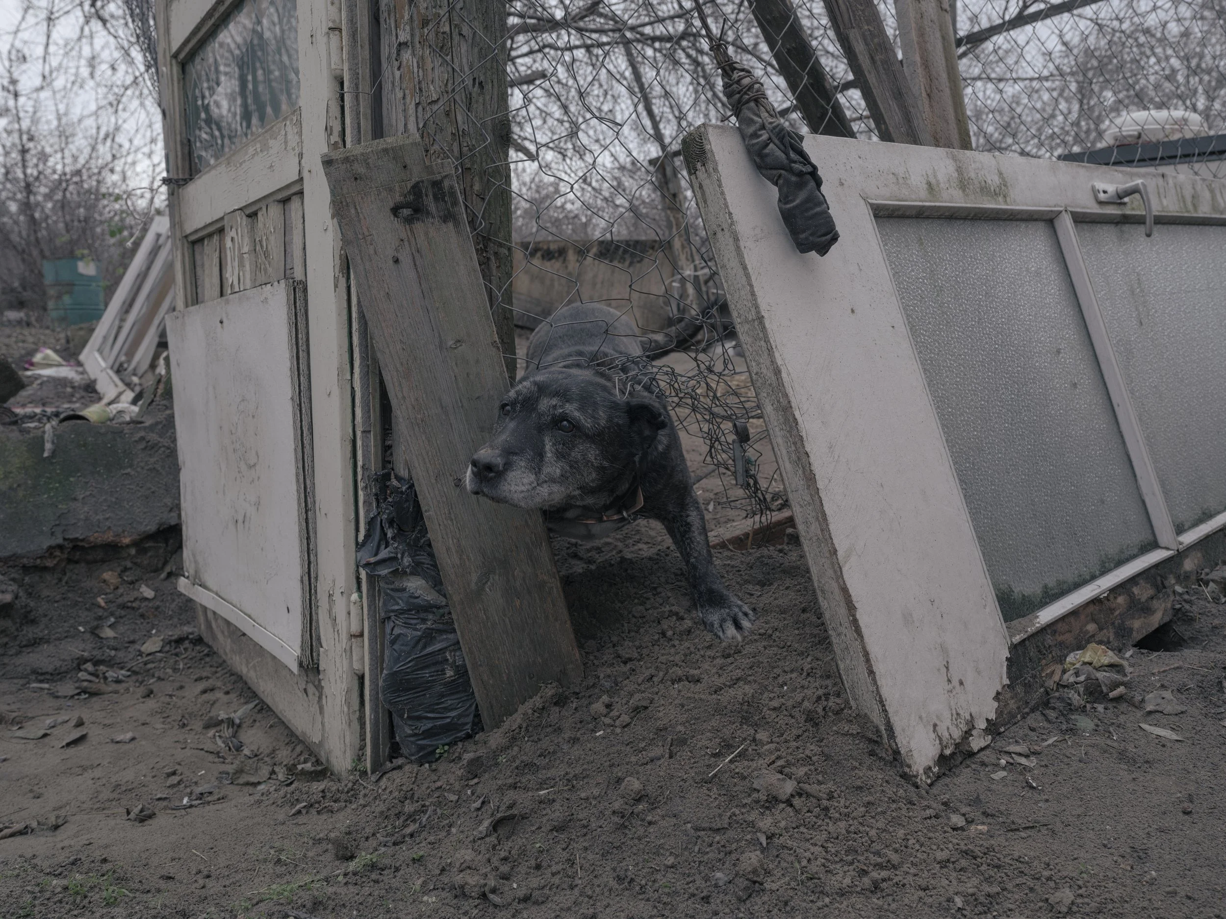 with_greed_comes_torture_marcbasan-31.jpg